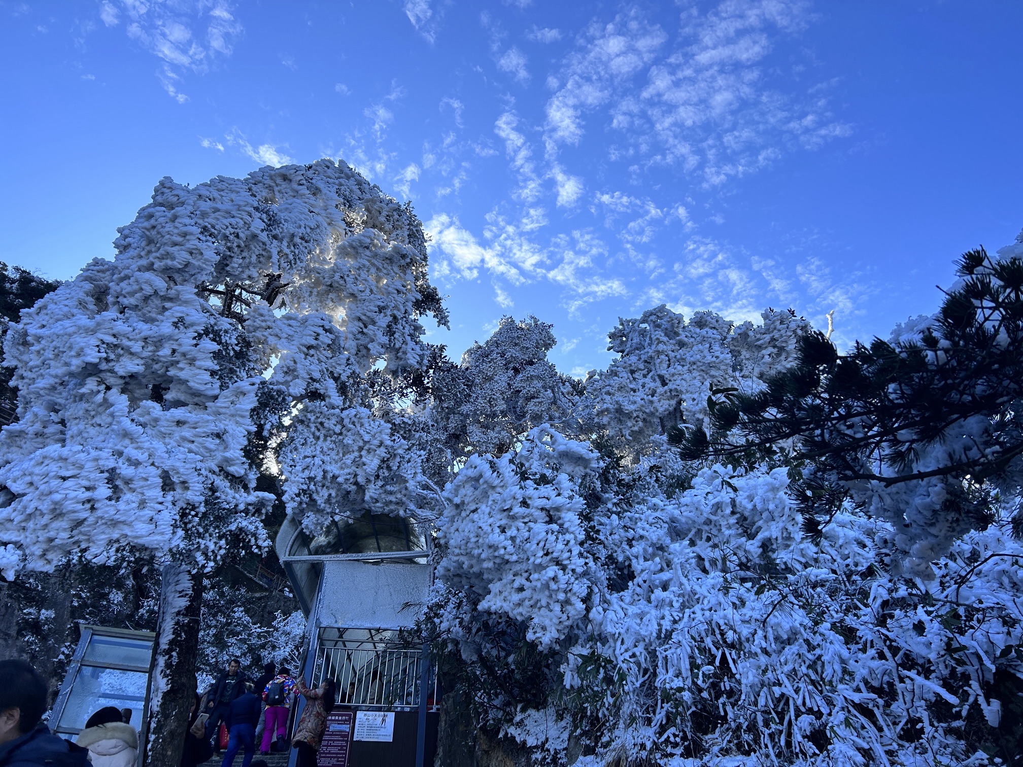 莽山国家森林公园旅行图片 1
