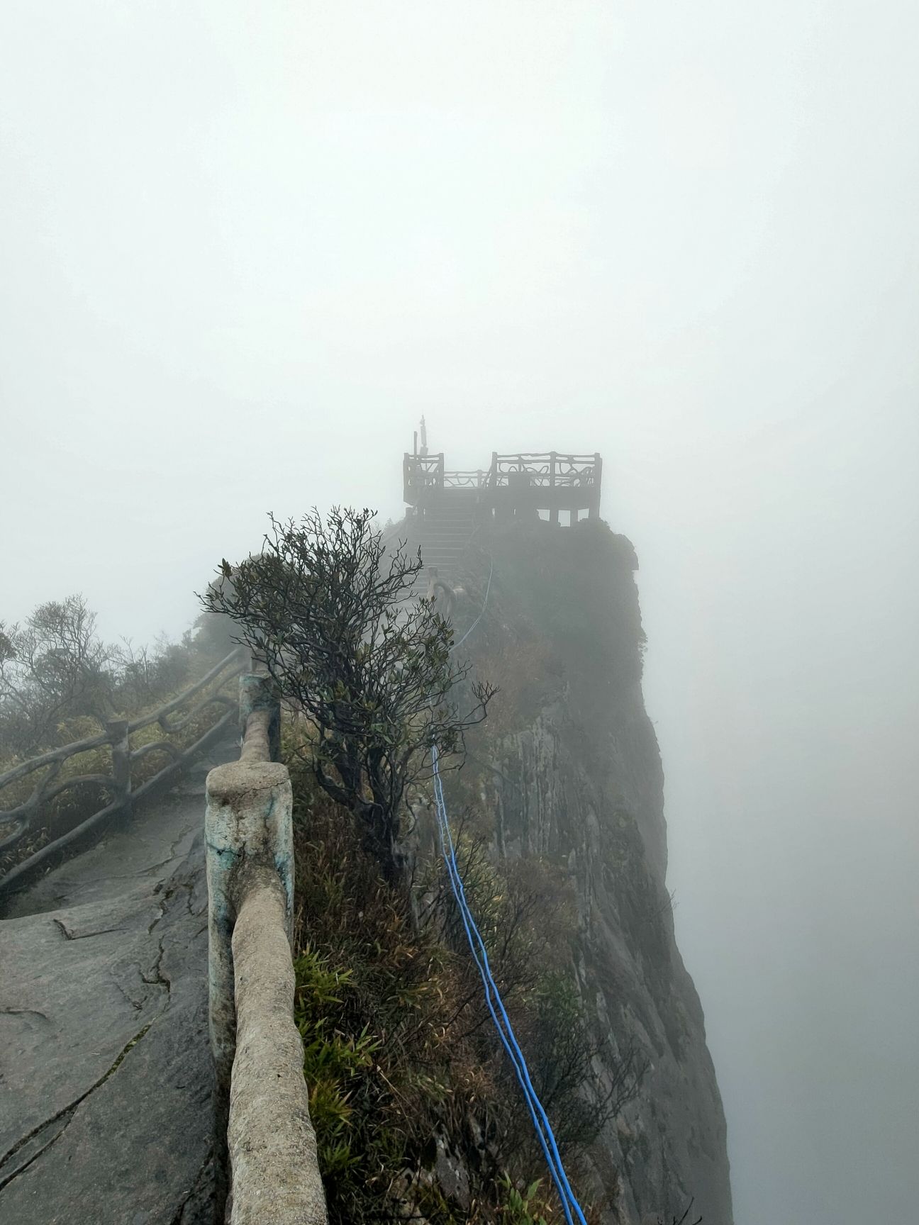 莽山国家森林公园旅行图片 3