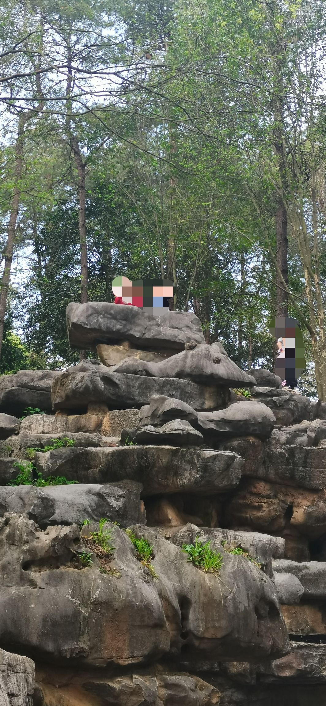 南岭植物园旅行图片 2