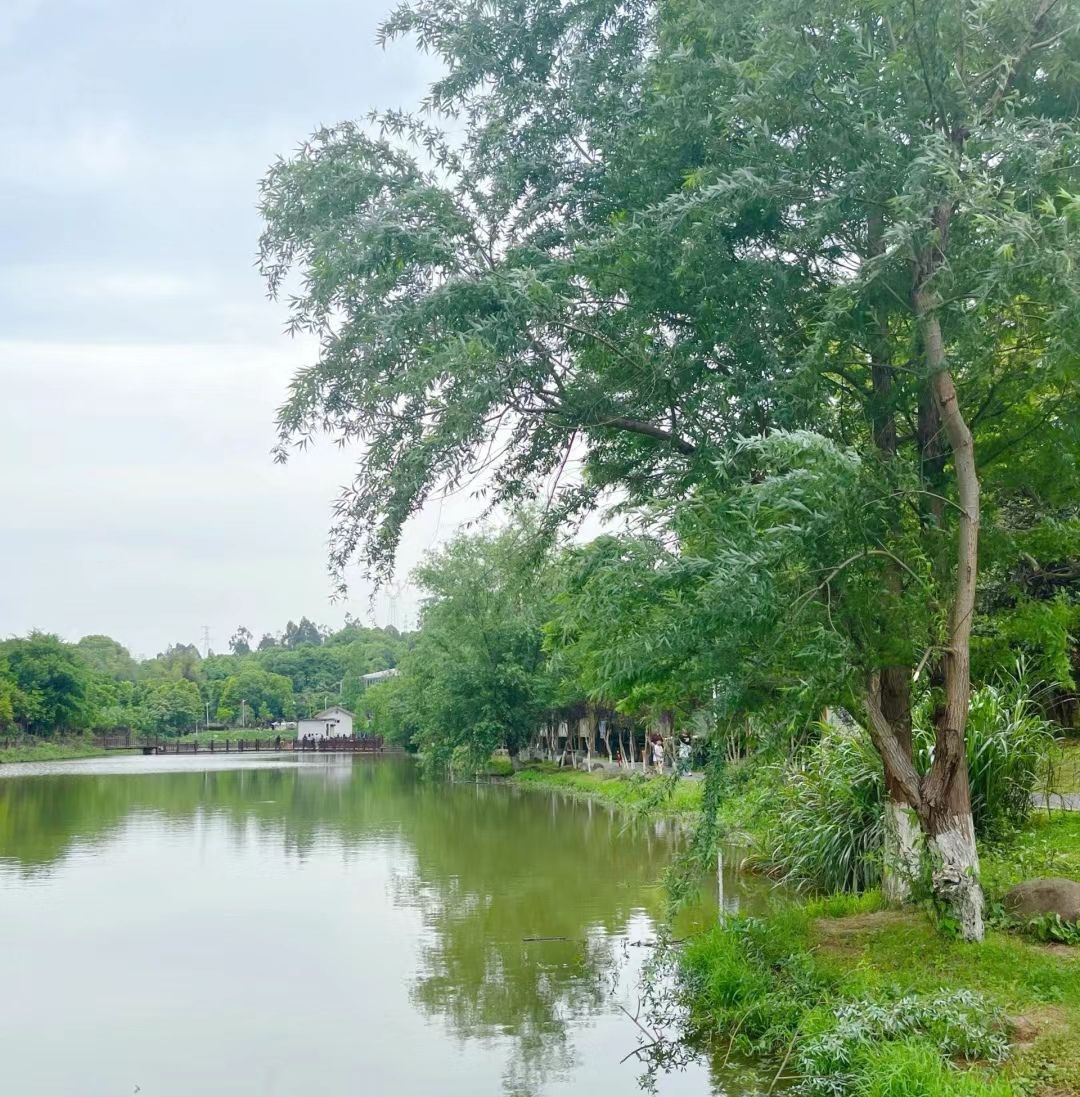 南岭植物园旅行图片 3