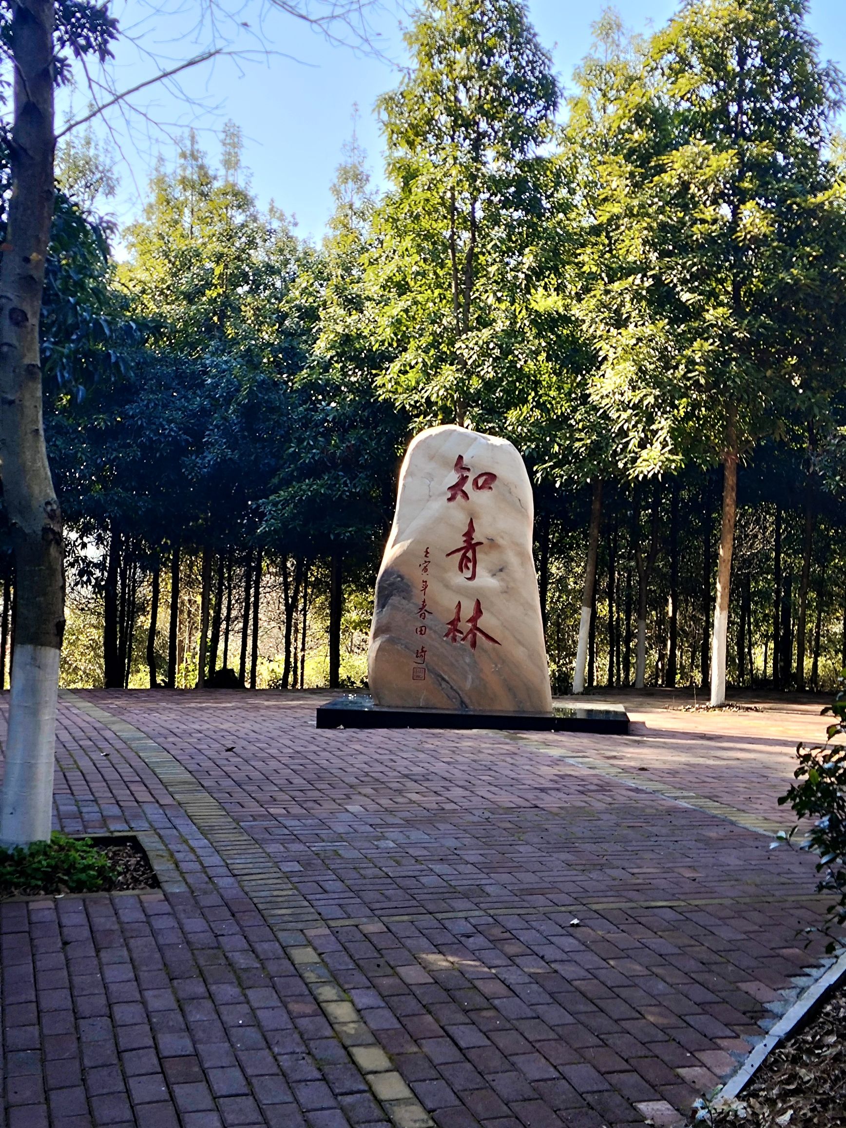 南岭植物园旅行图片 3