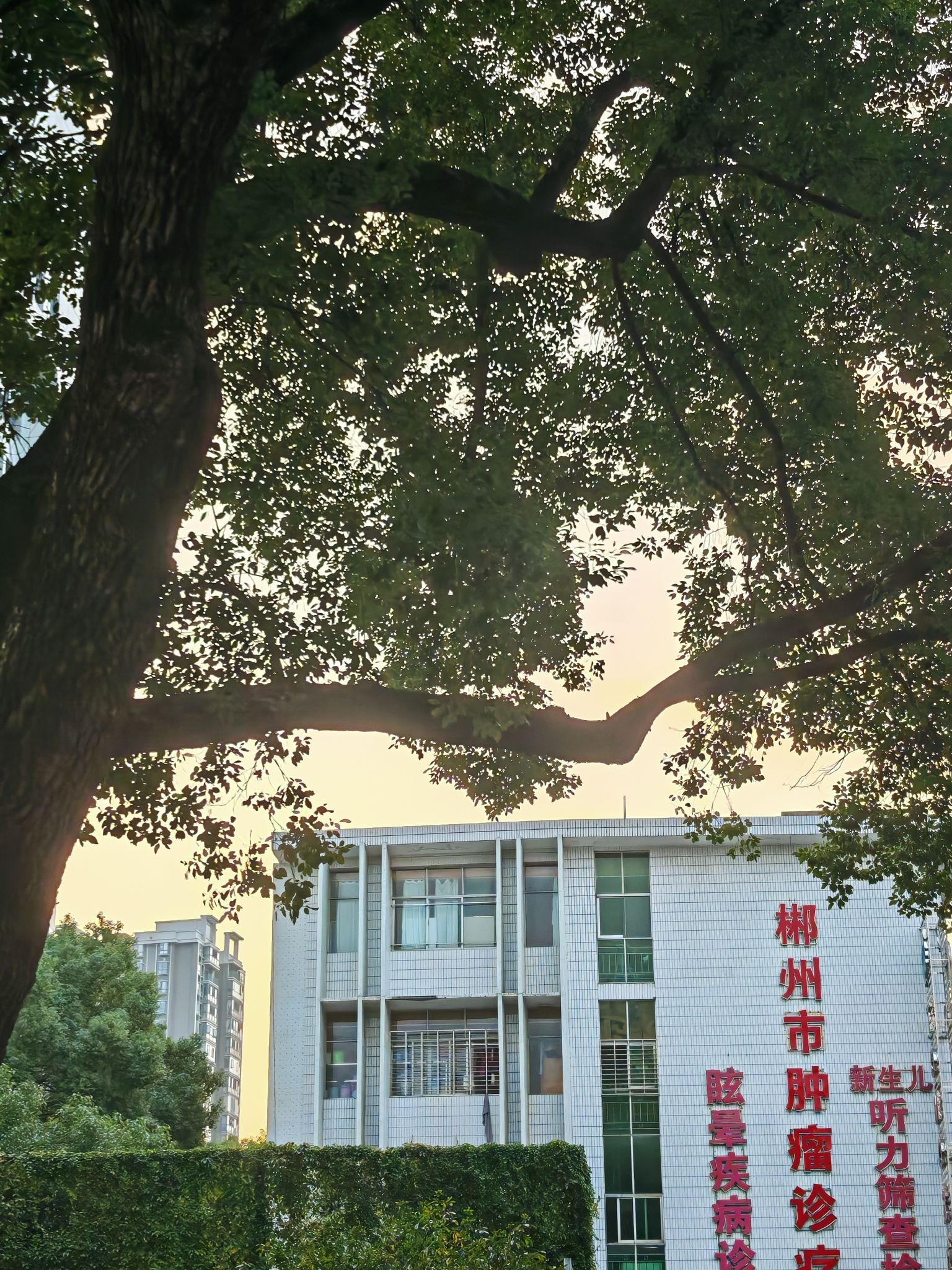 湘南学院(北湖校区)