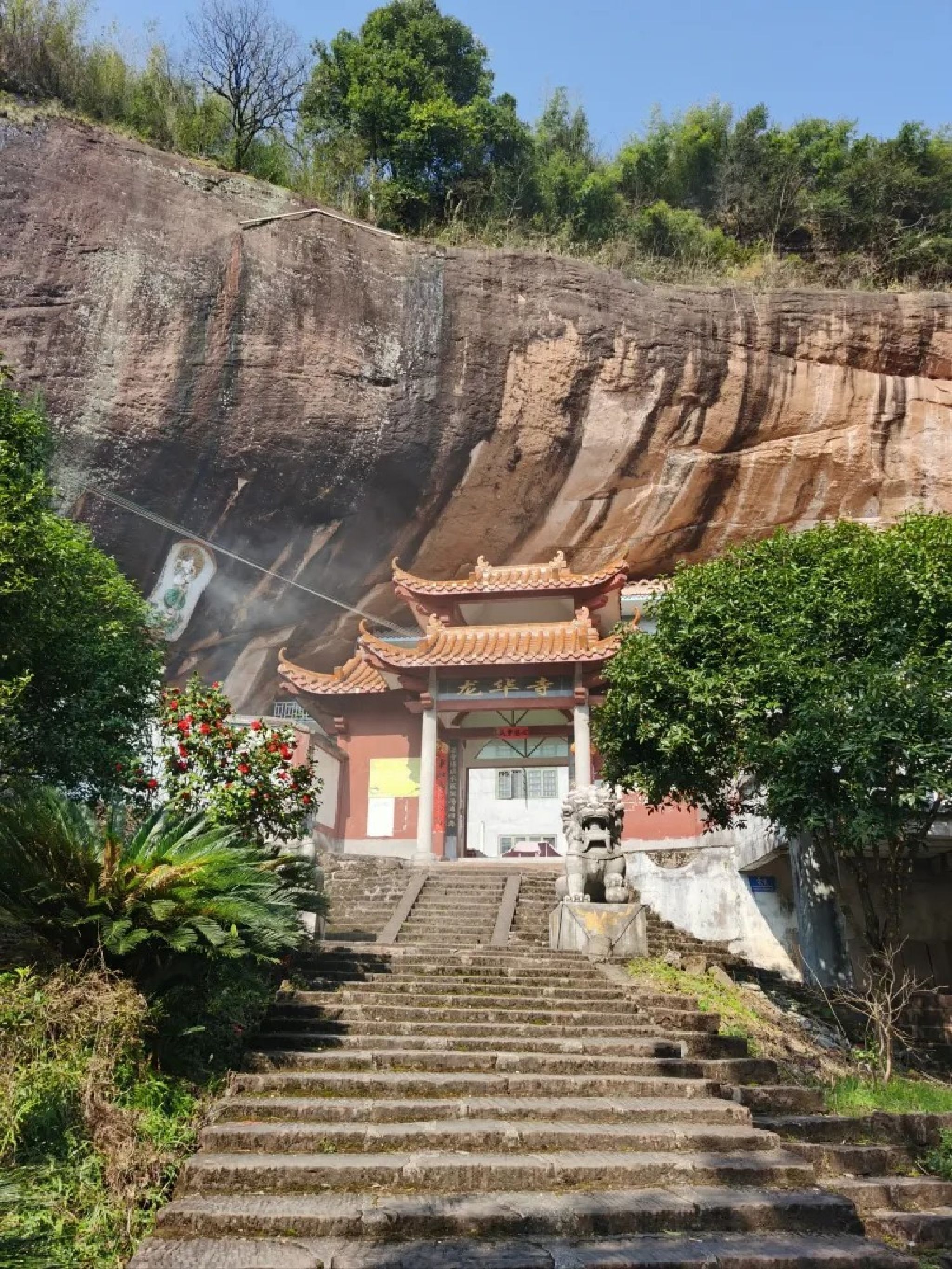 龙华山公园旅行图片 1