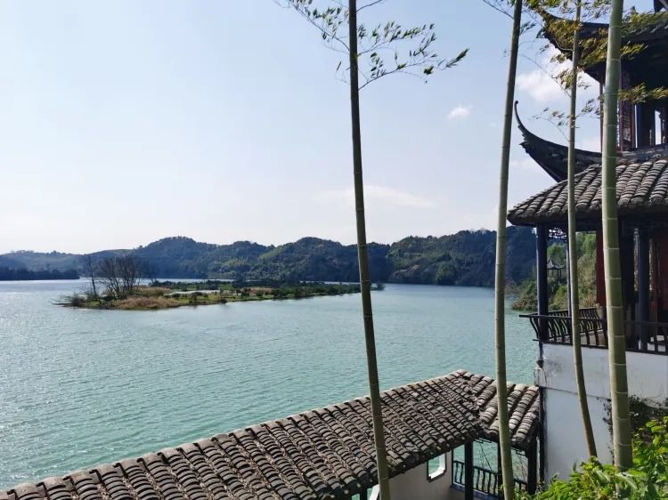 龙华山公园旅行图片 3