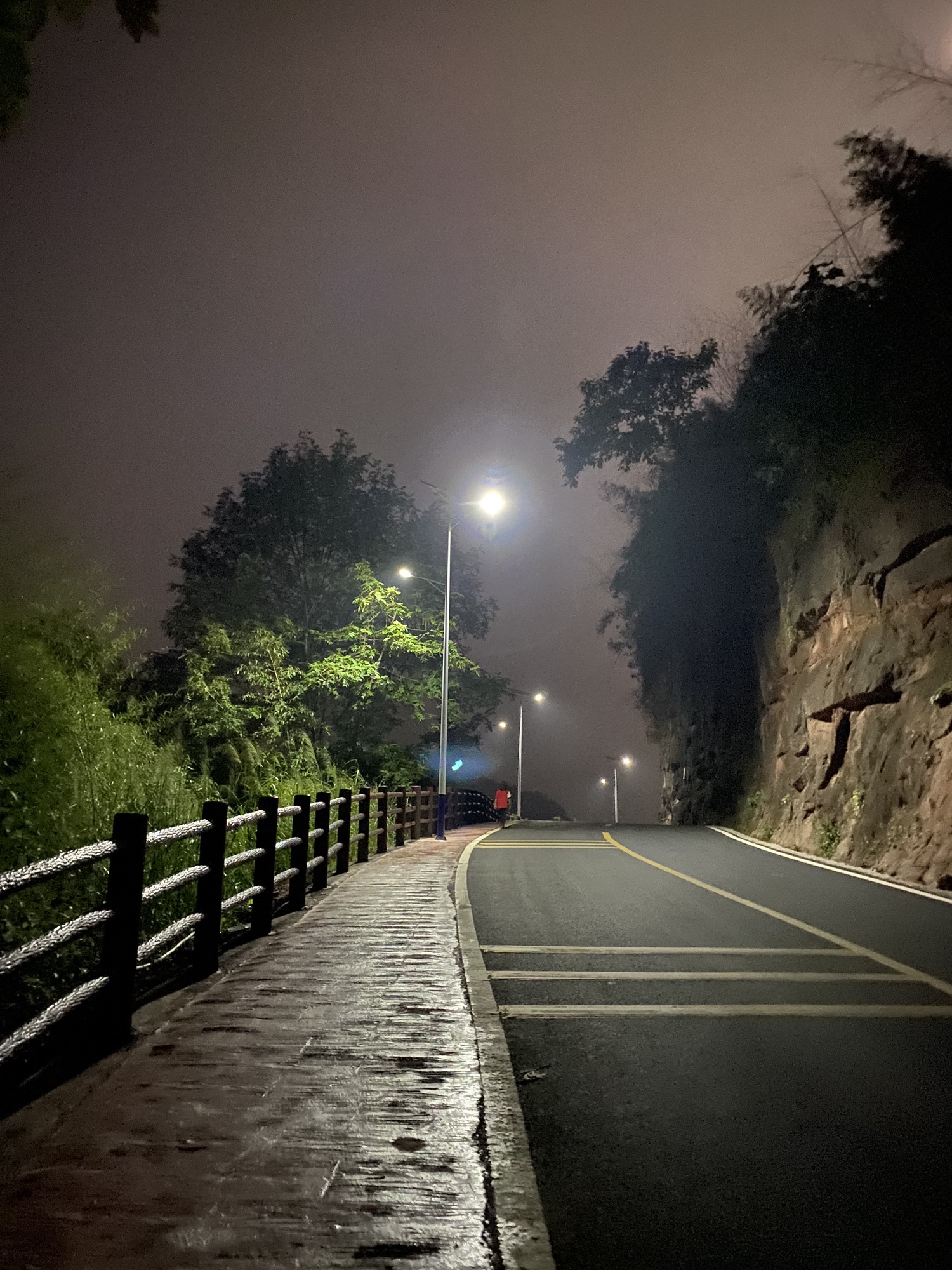 龙华山公园旅行图片 2