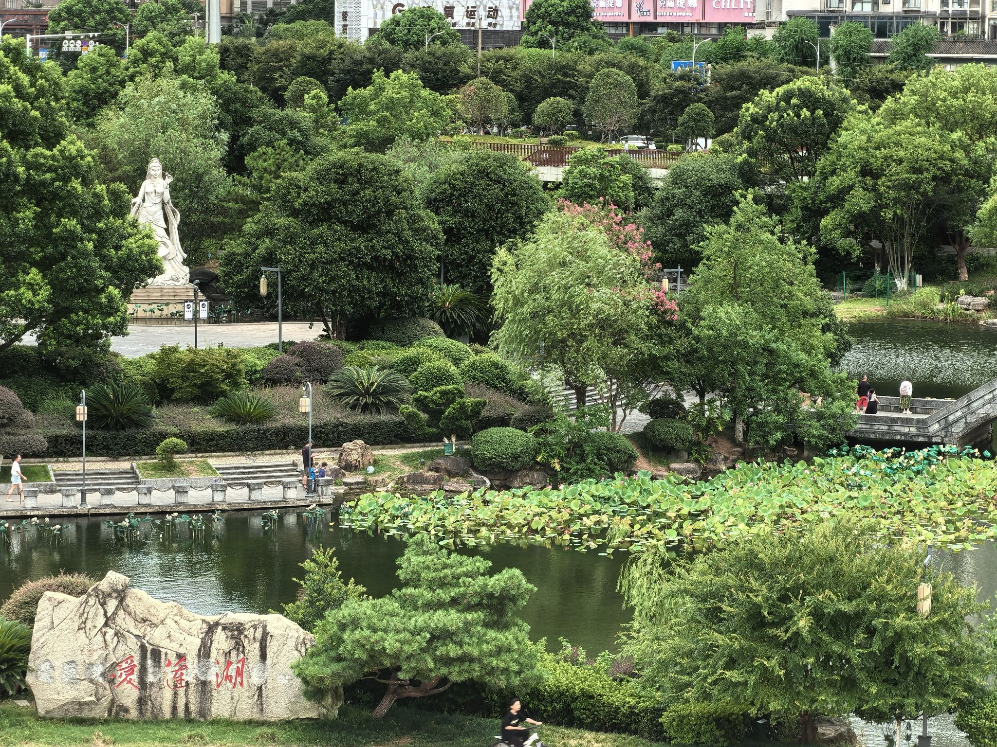 爱莲湖公园