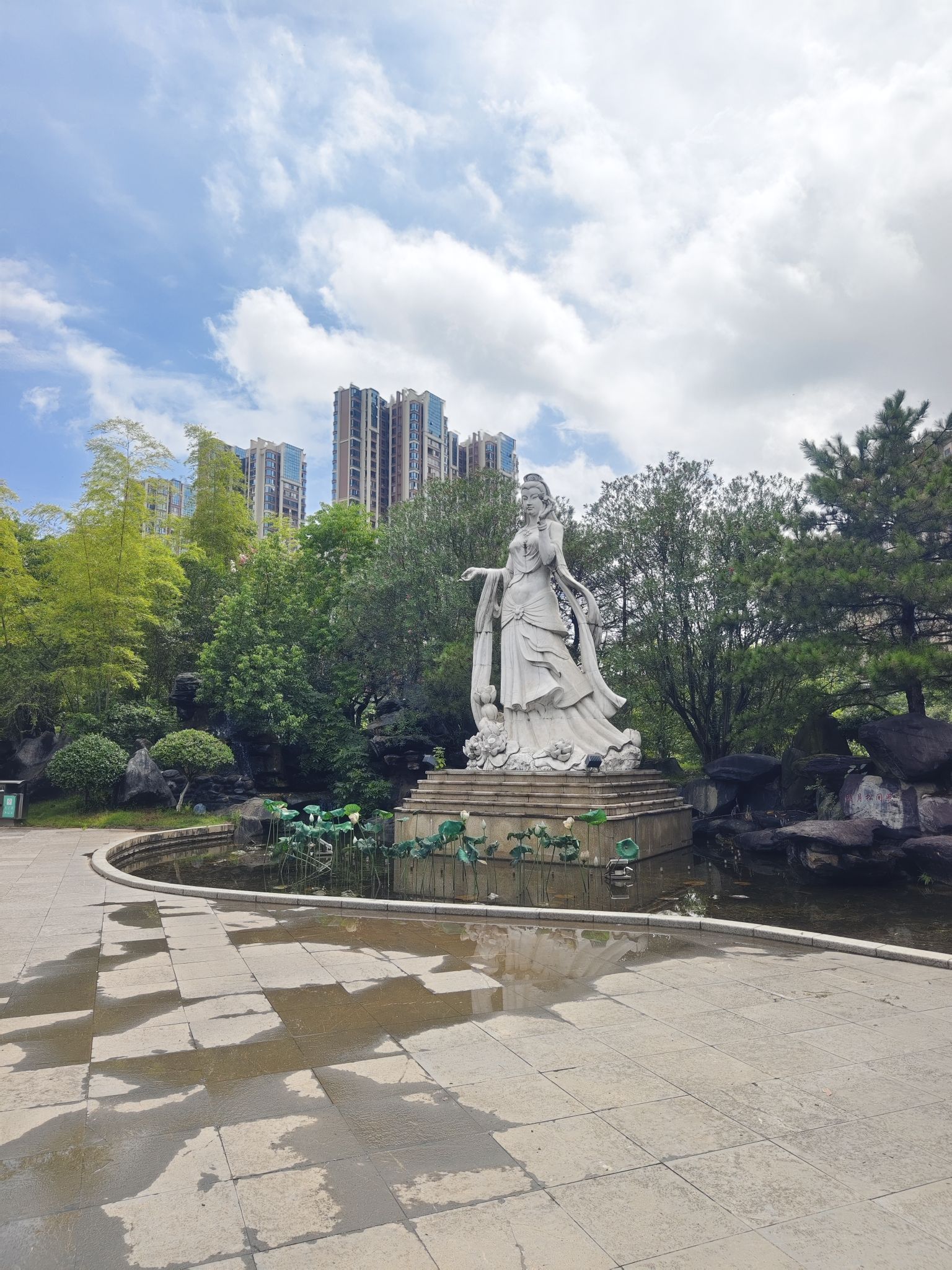 爱莲湖公园