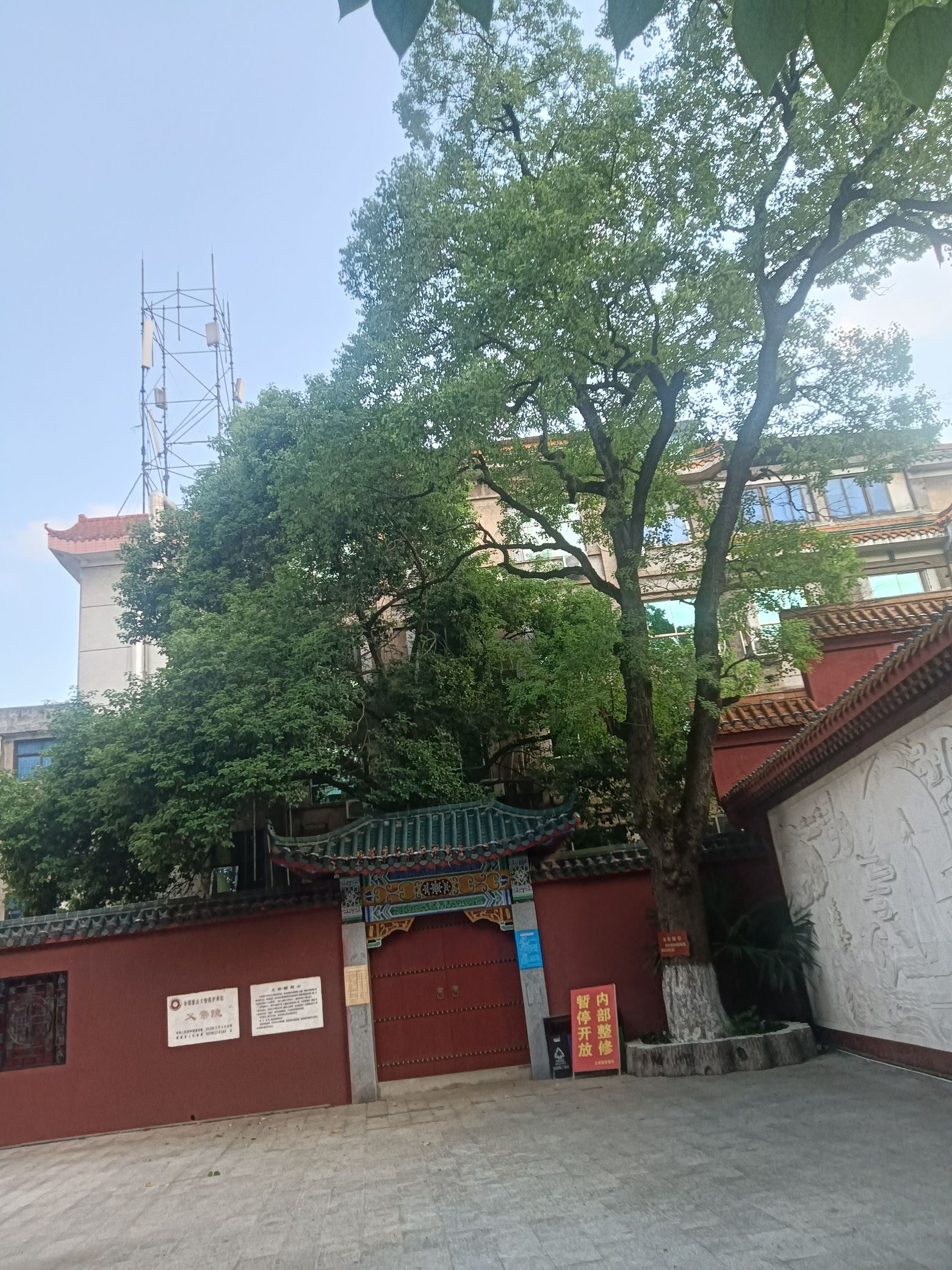 义帝陵旅行图片 1
