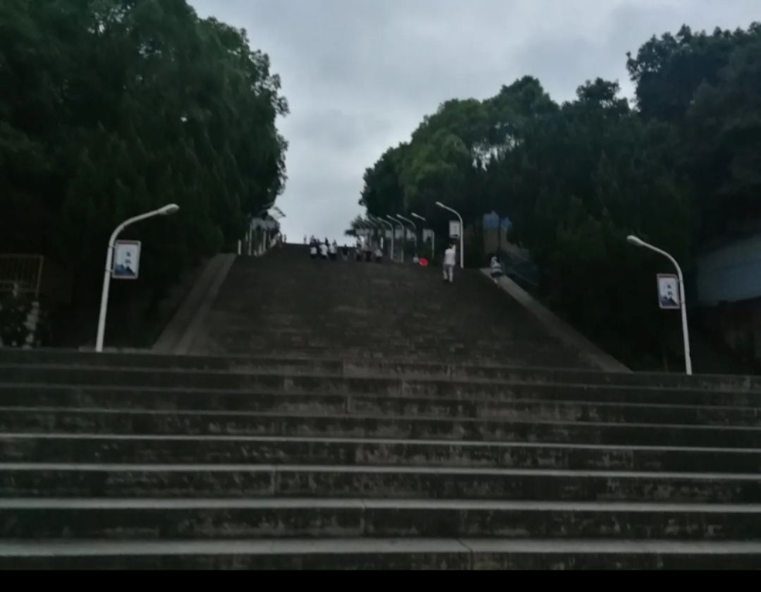 中夏公园旅行图片 3