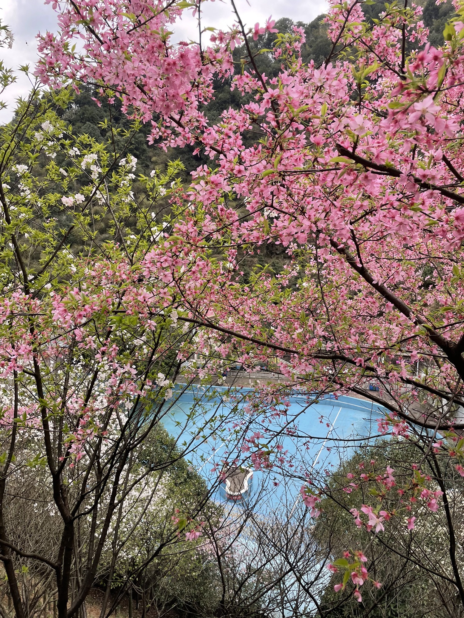 王仙岭生态公园旅行图片 1