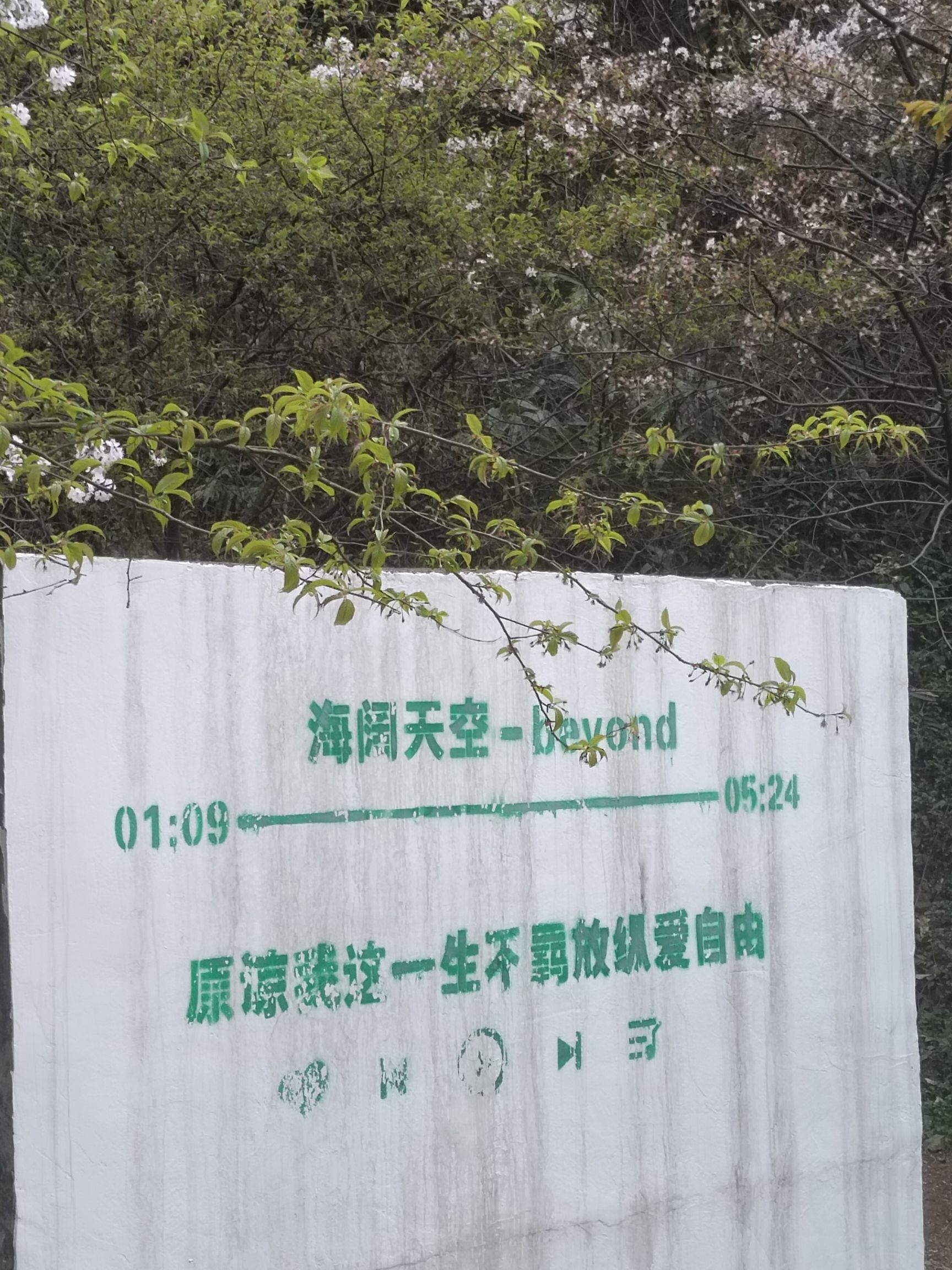 王仙岭生态公园旅行图片 2