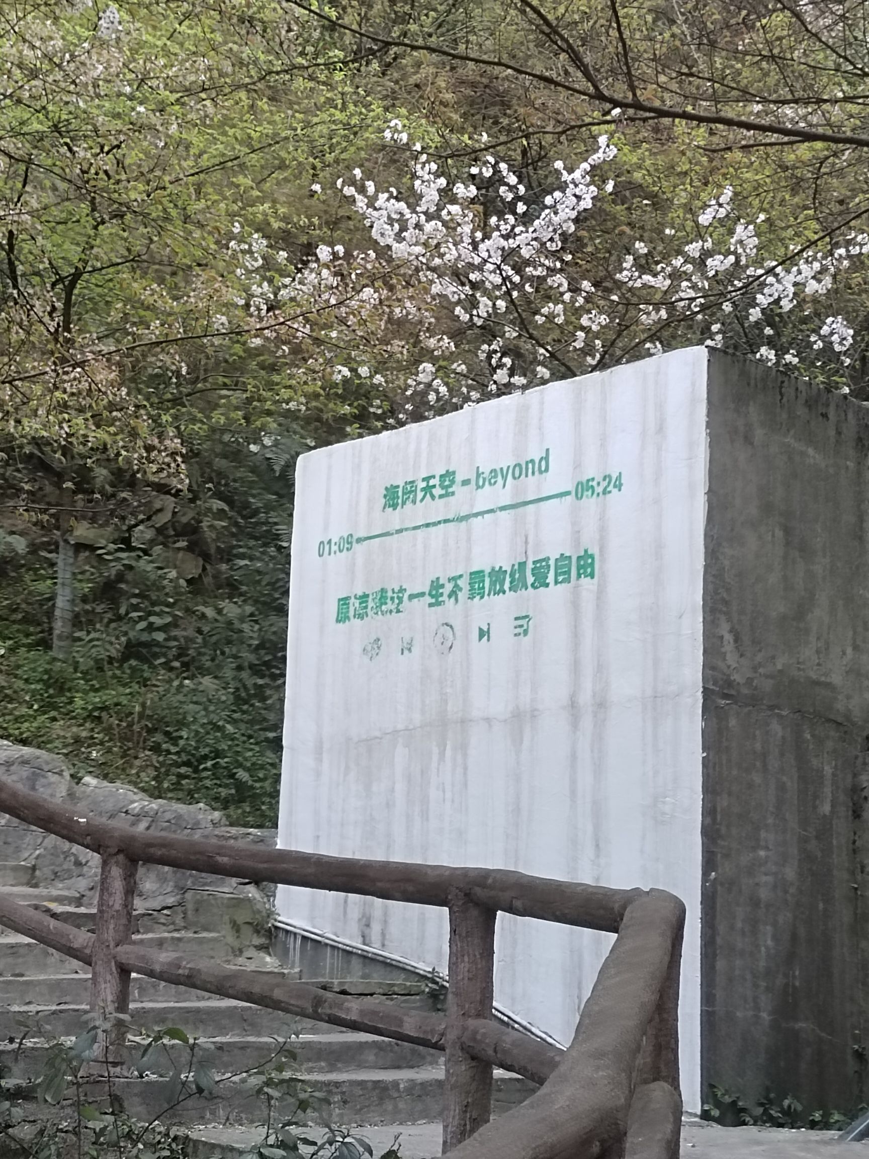 王仙岭生态公园旅行图片 3