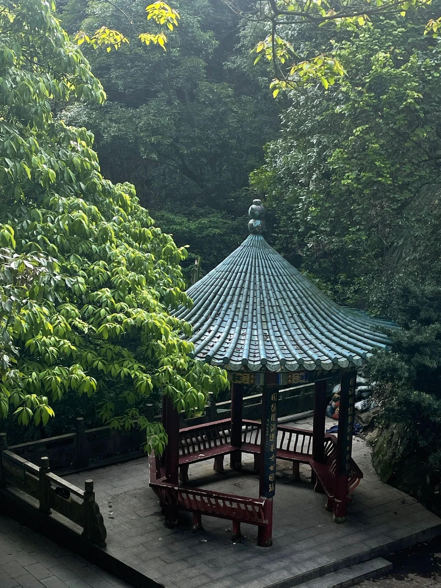王仙岭生态公园旅行图片 1