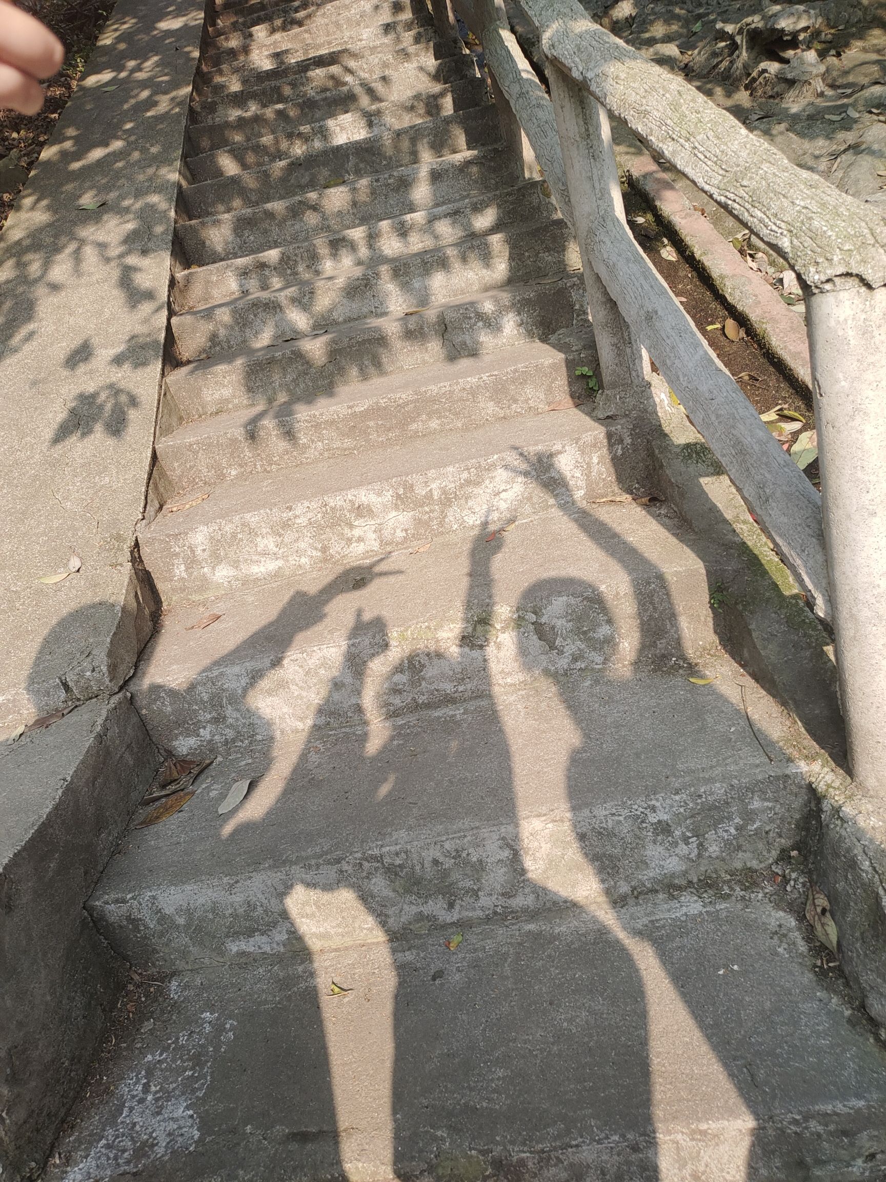 王仙岭生态公园旅行图片 1