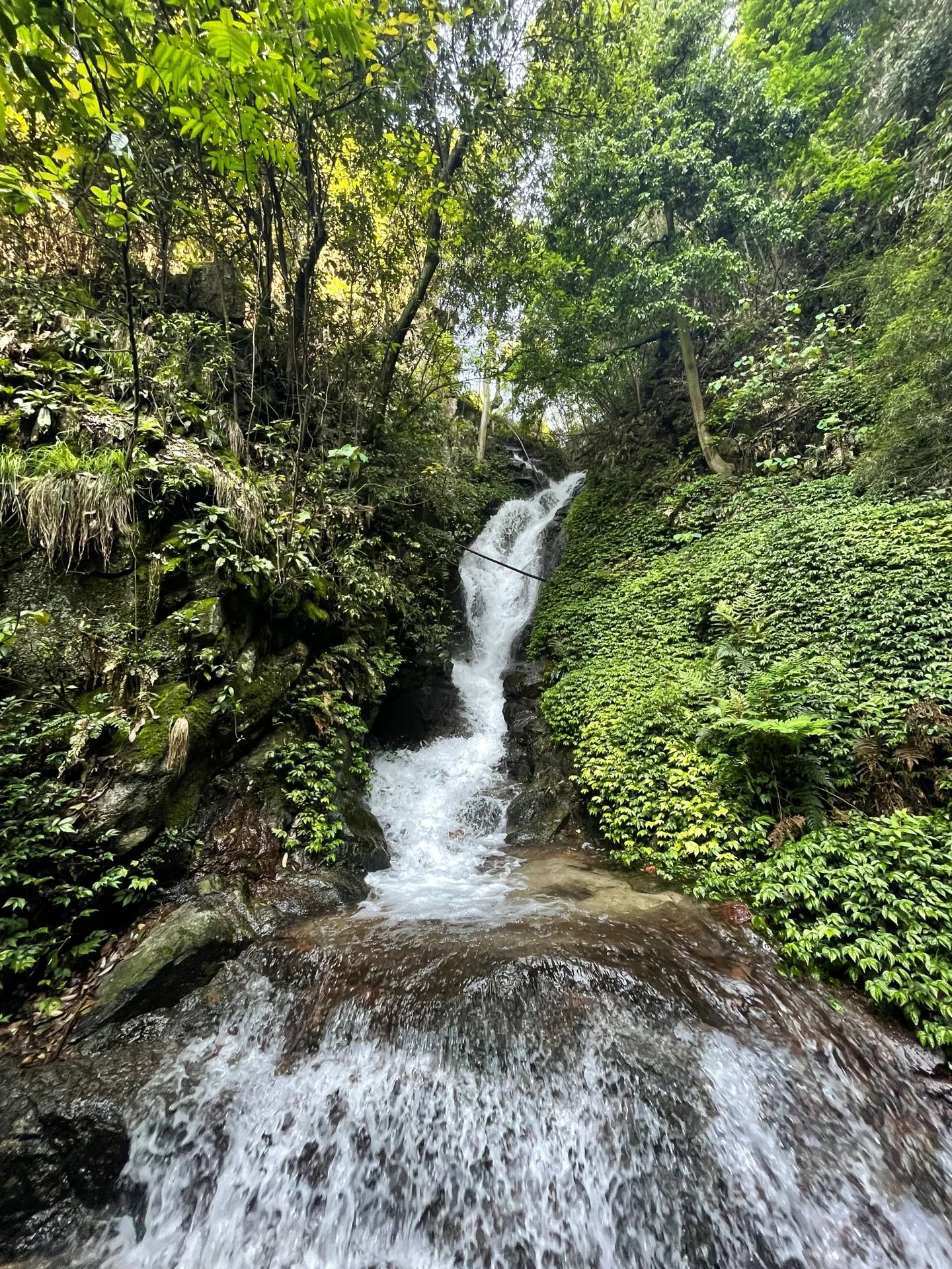 王仙岭生态公园旅行图片 3