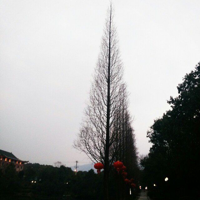 秀流公园旅行图片 1