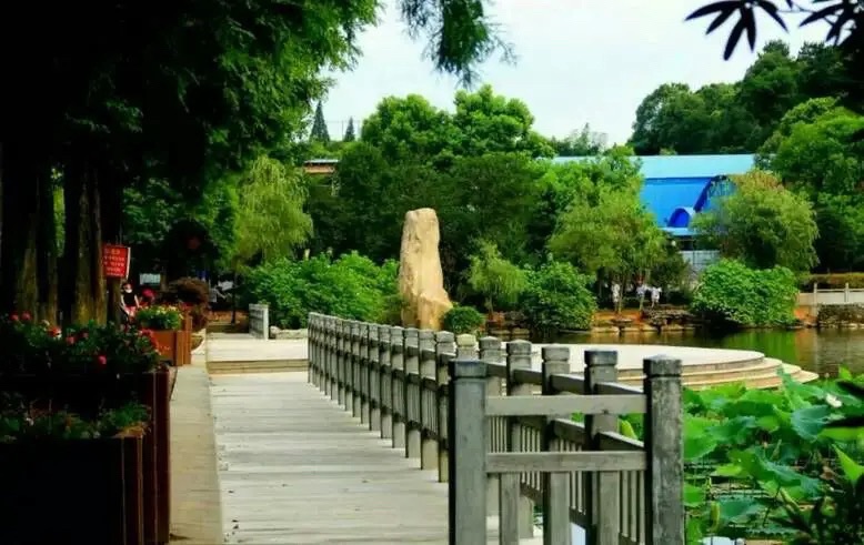 秀流公园旅行图片 2