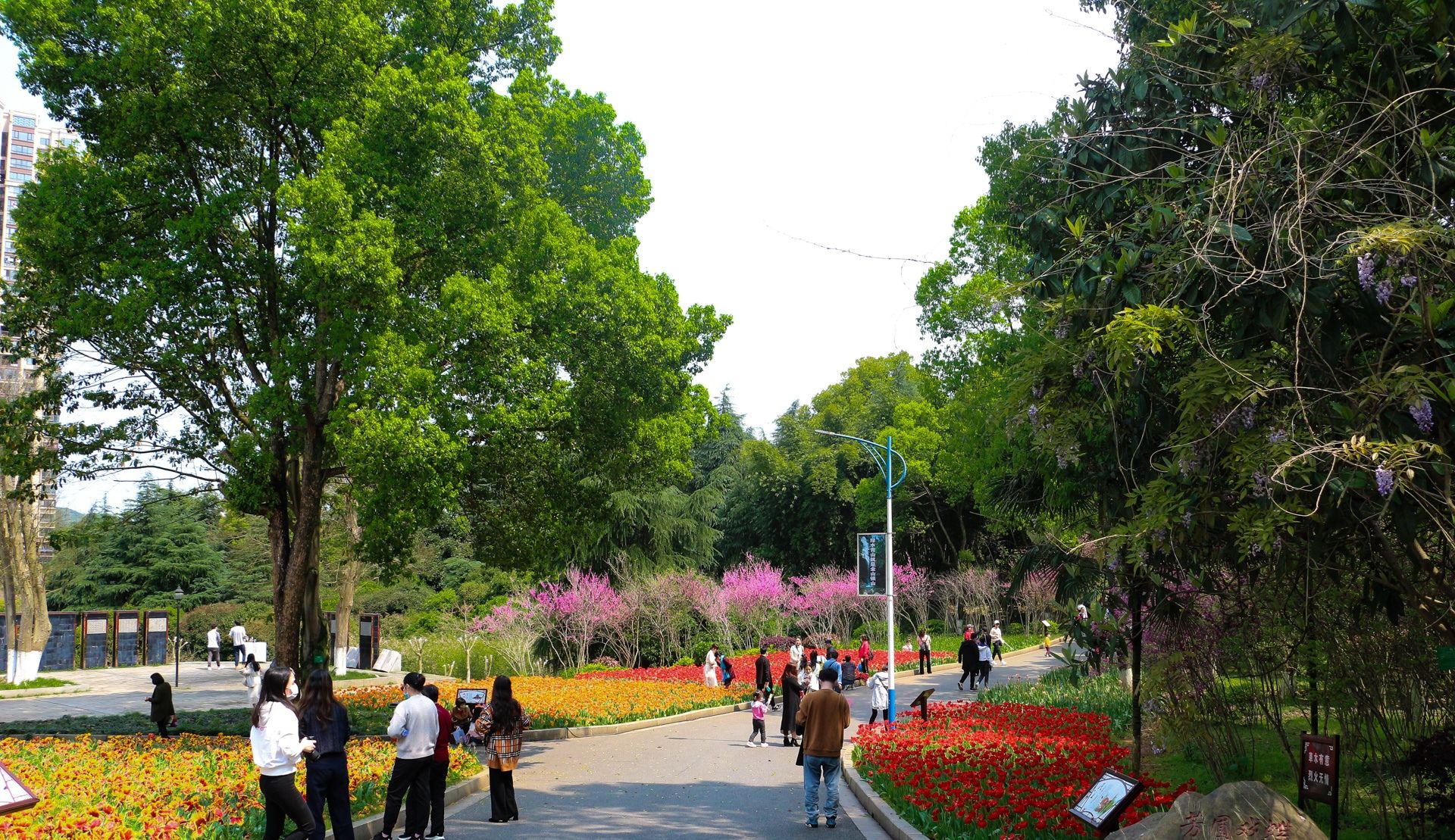 湘南植物园旅行图片 1