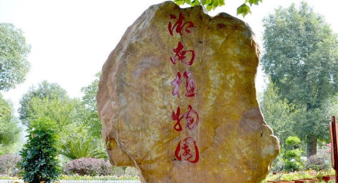 湘南植物园旅行图片 2