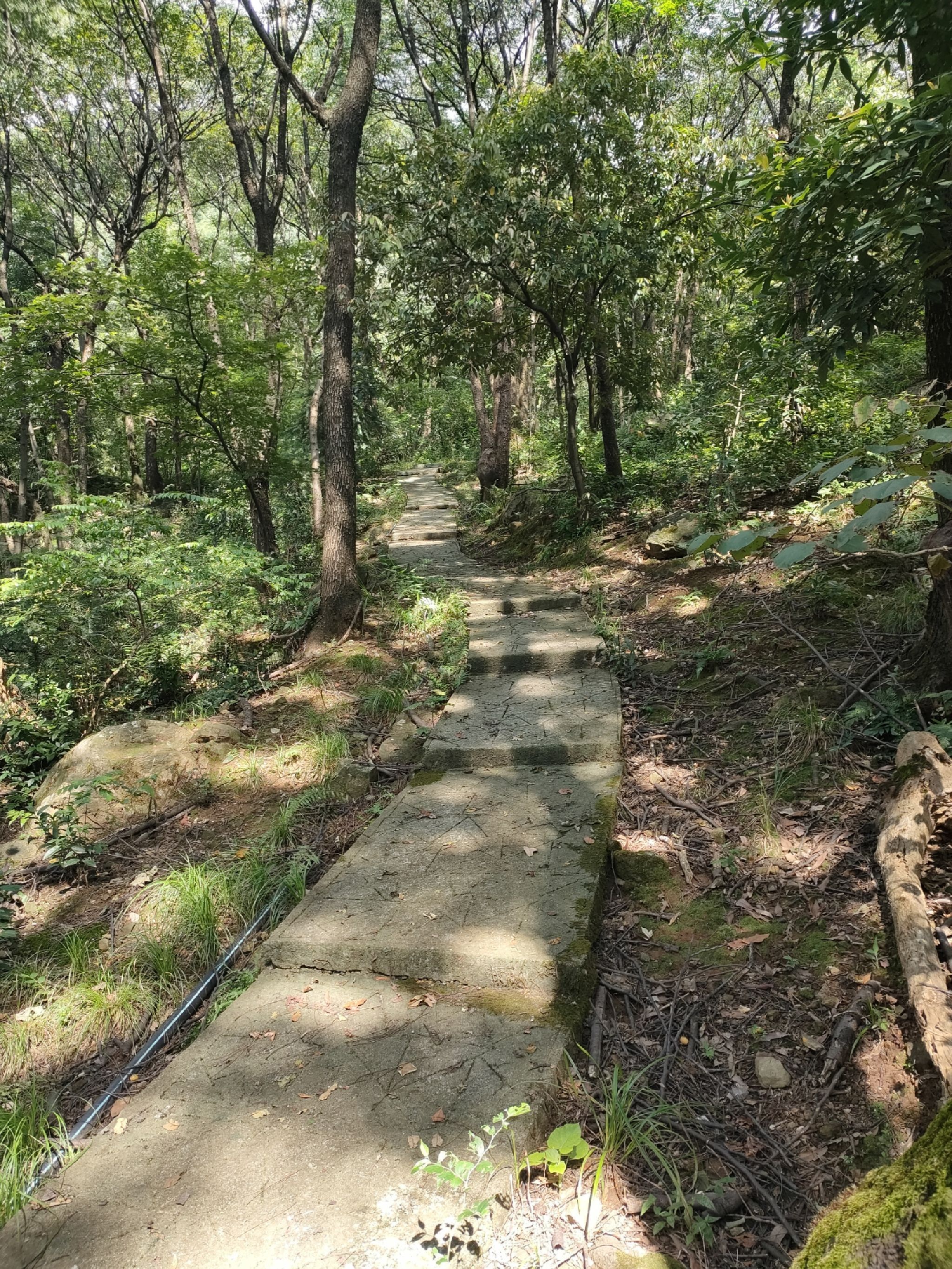 湘南植物园旅行图片 2