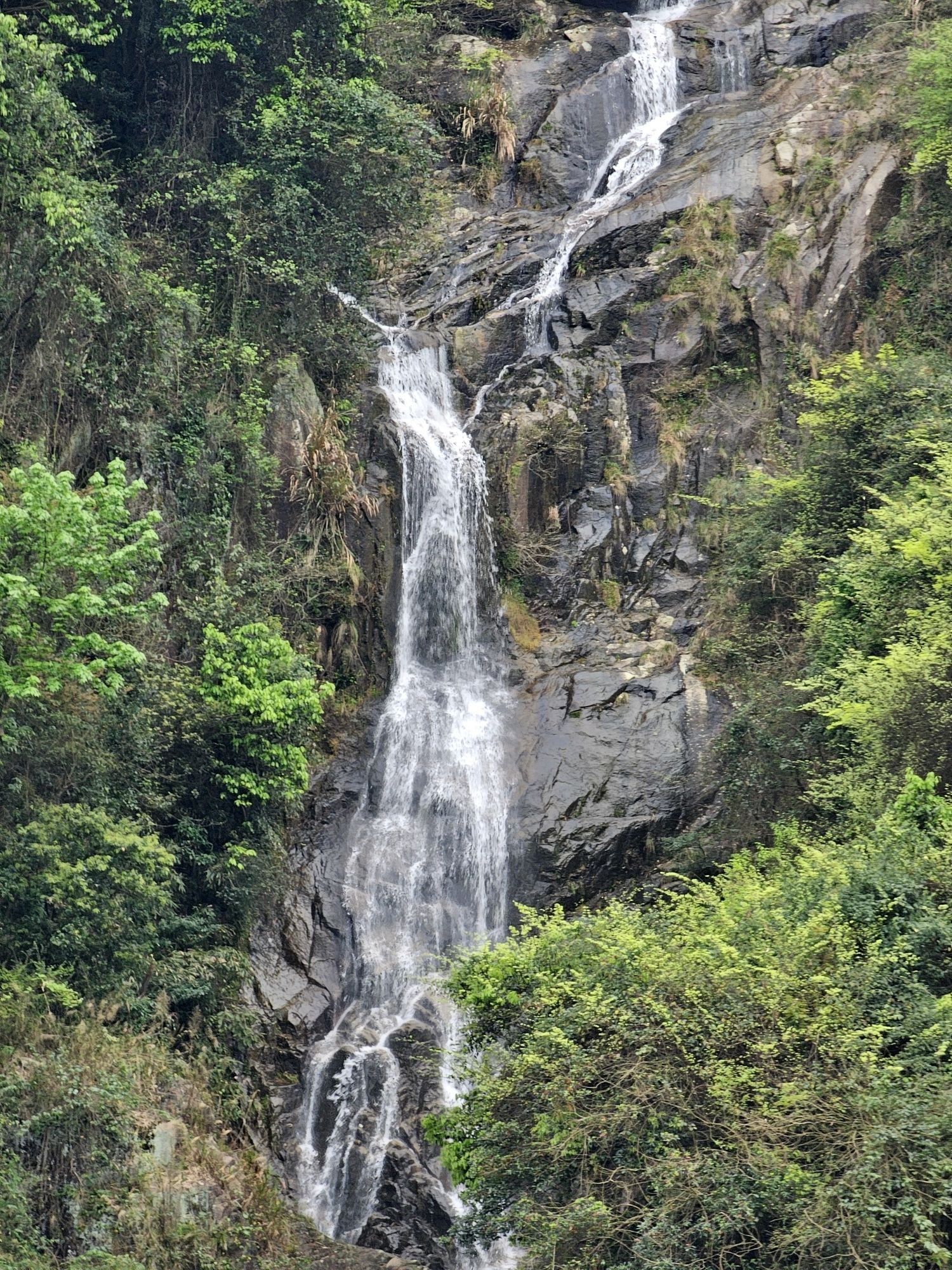 东江湖旅游区旅行图片 3