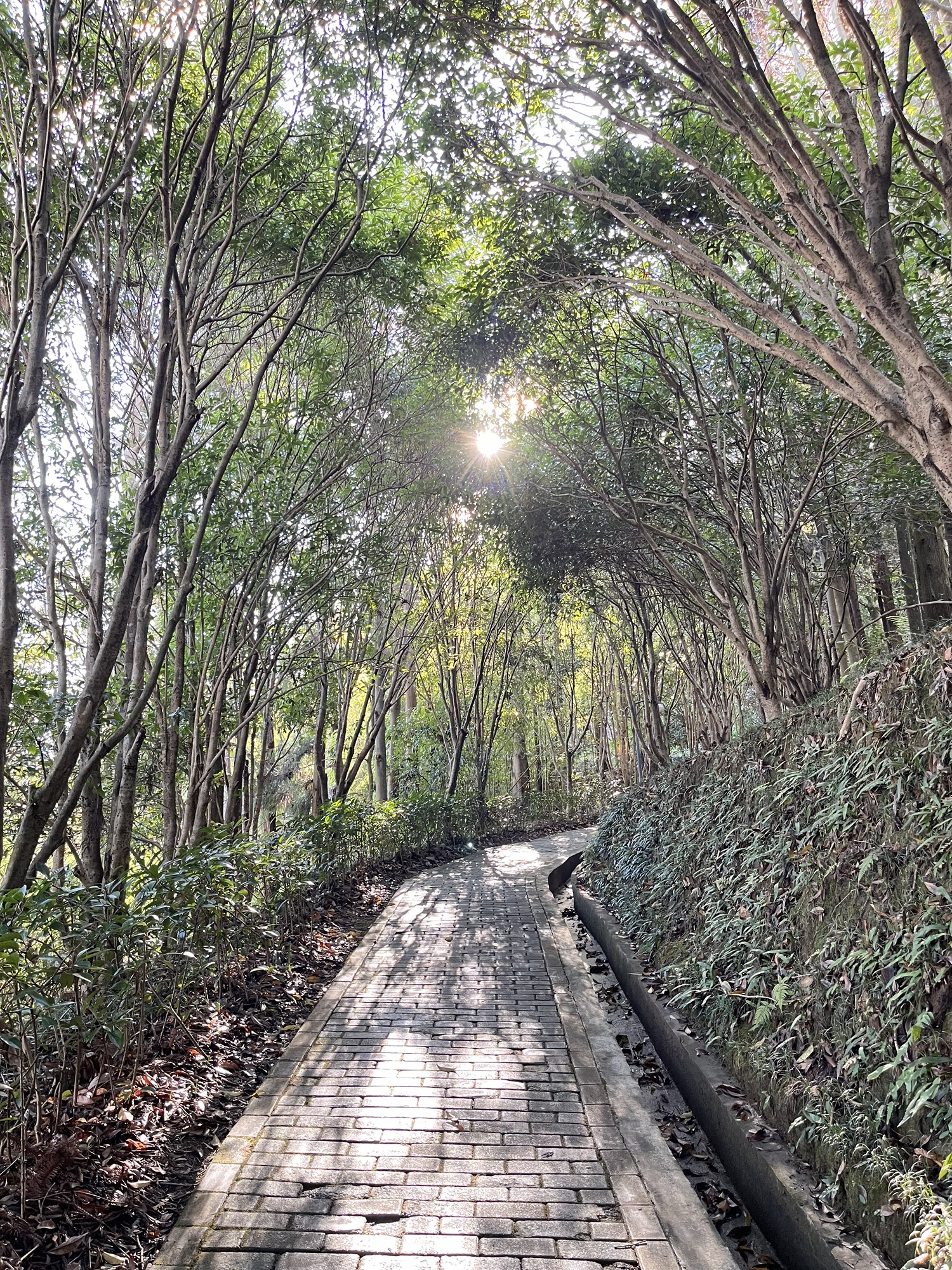 三台山公园旅行图片 3