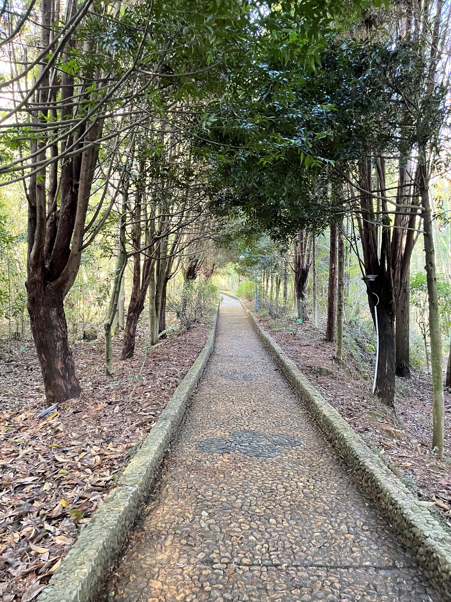 三台山公园旅行图片 2