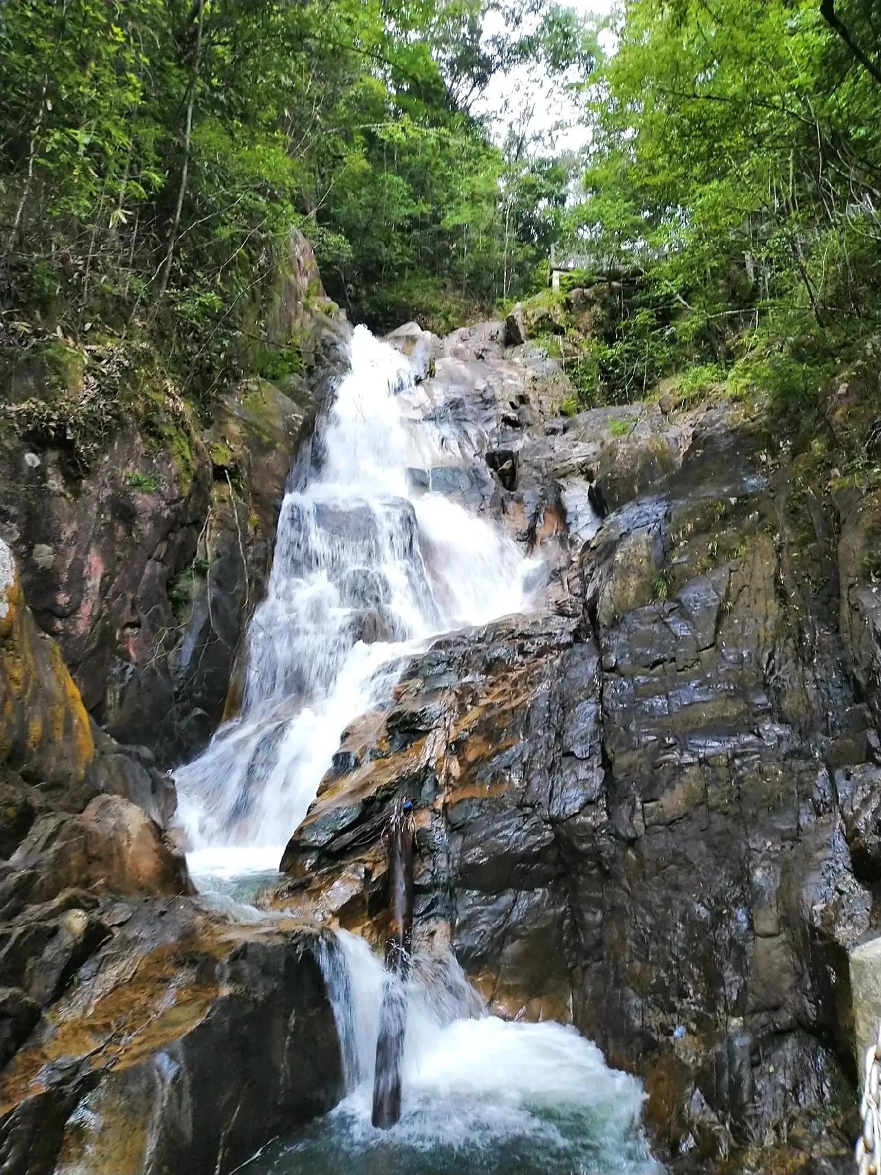 湖南九龙江国家森林公园旅行图片 3