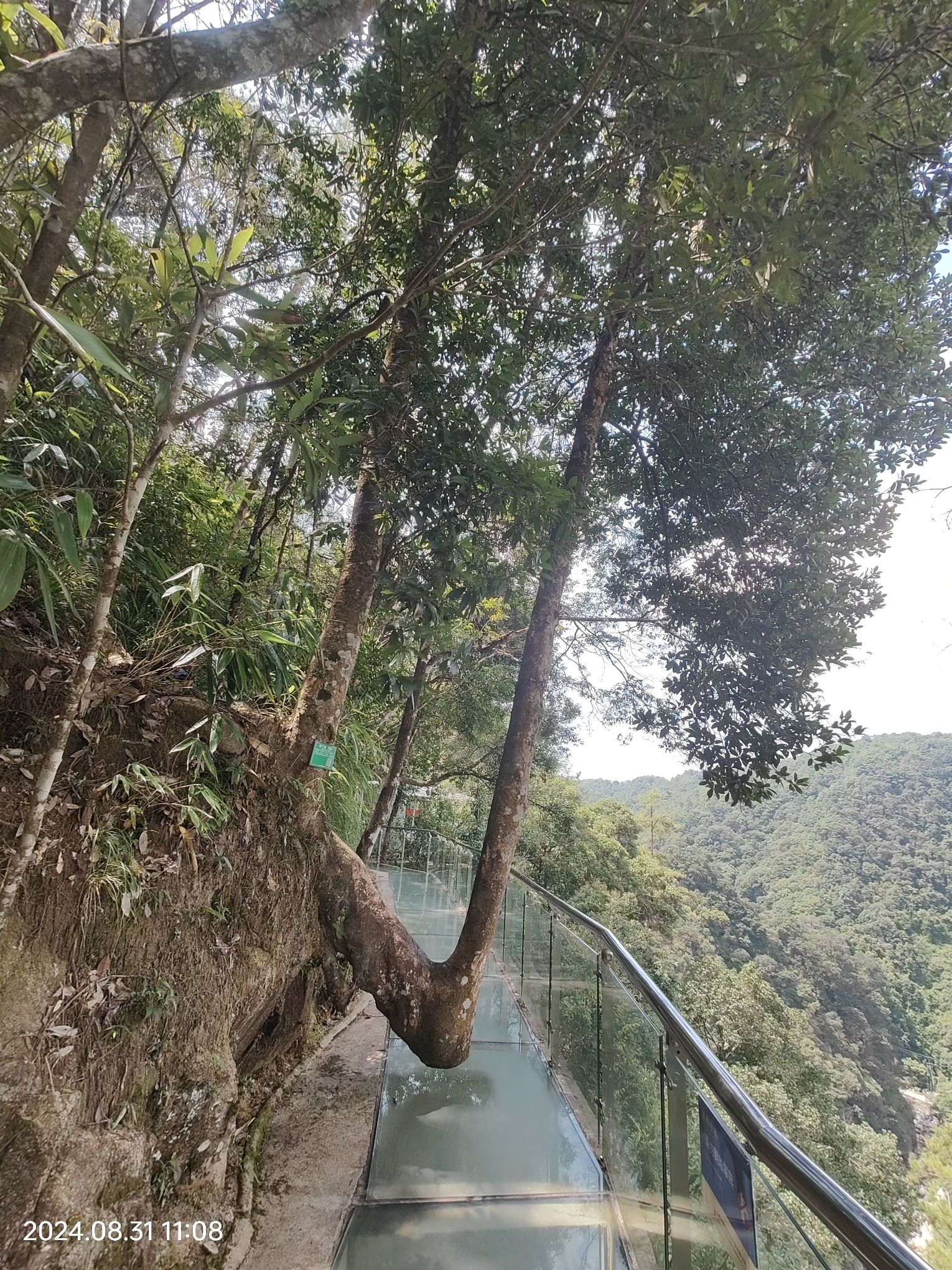 湖南九龙江国家森林公园旅行图片 1