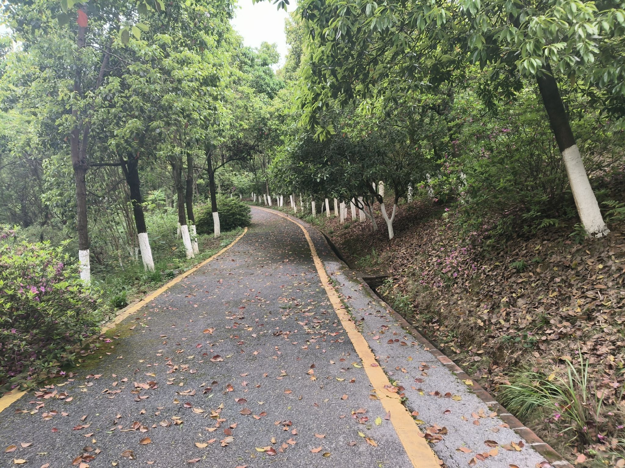 石榴湾生态公园旅行图片 3