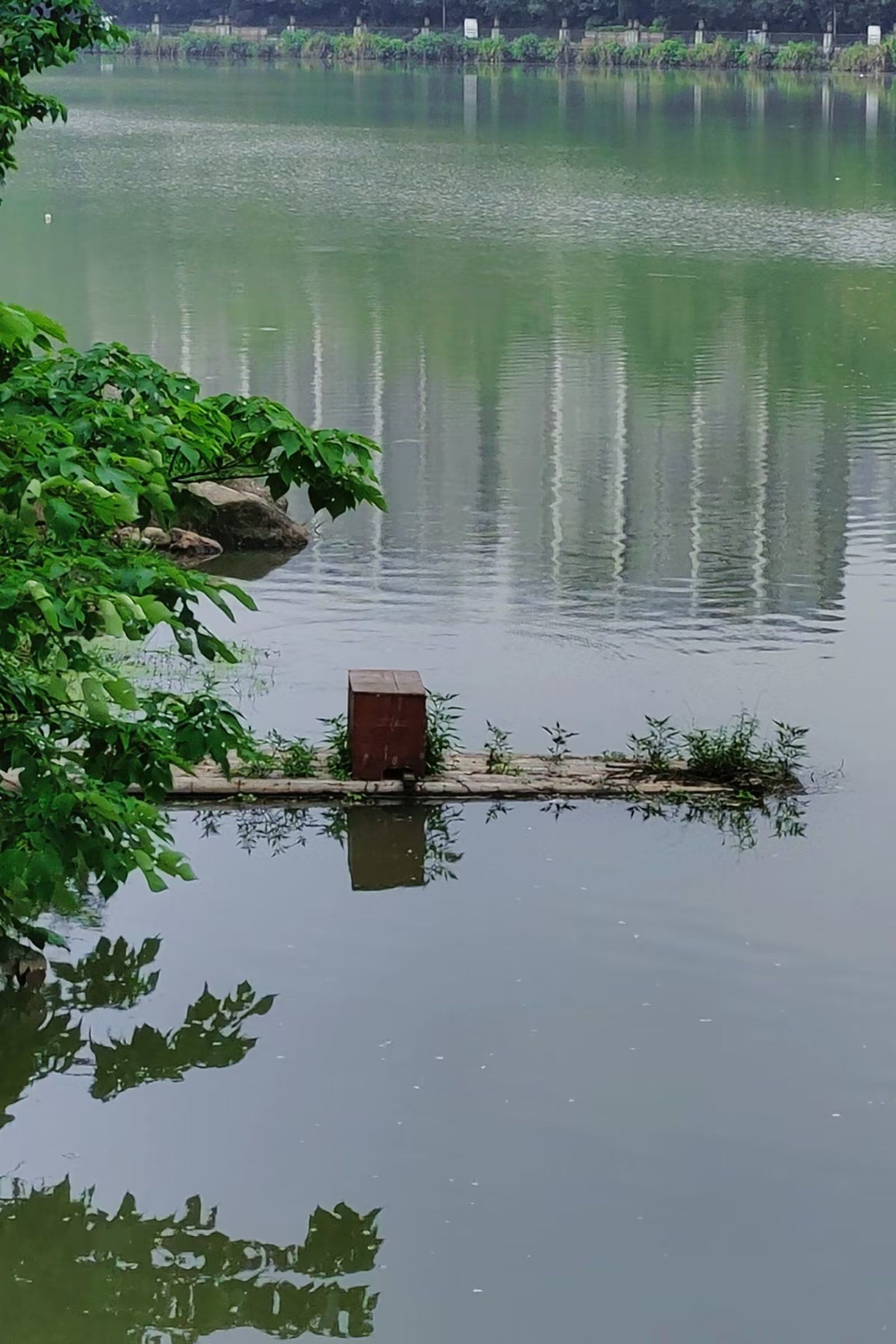 石榴湾生态公园旅行图片 1