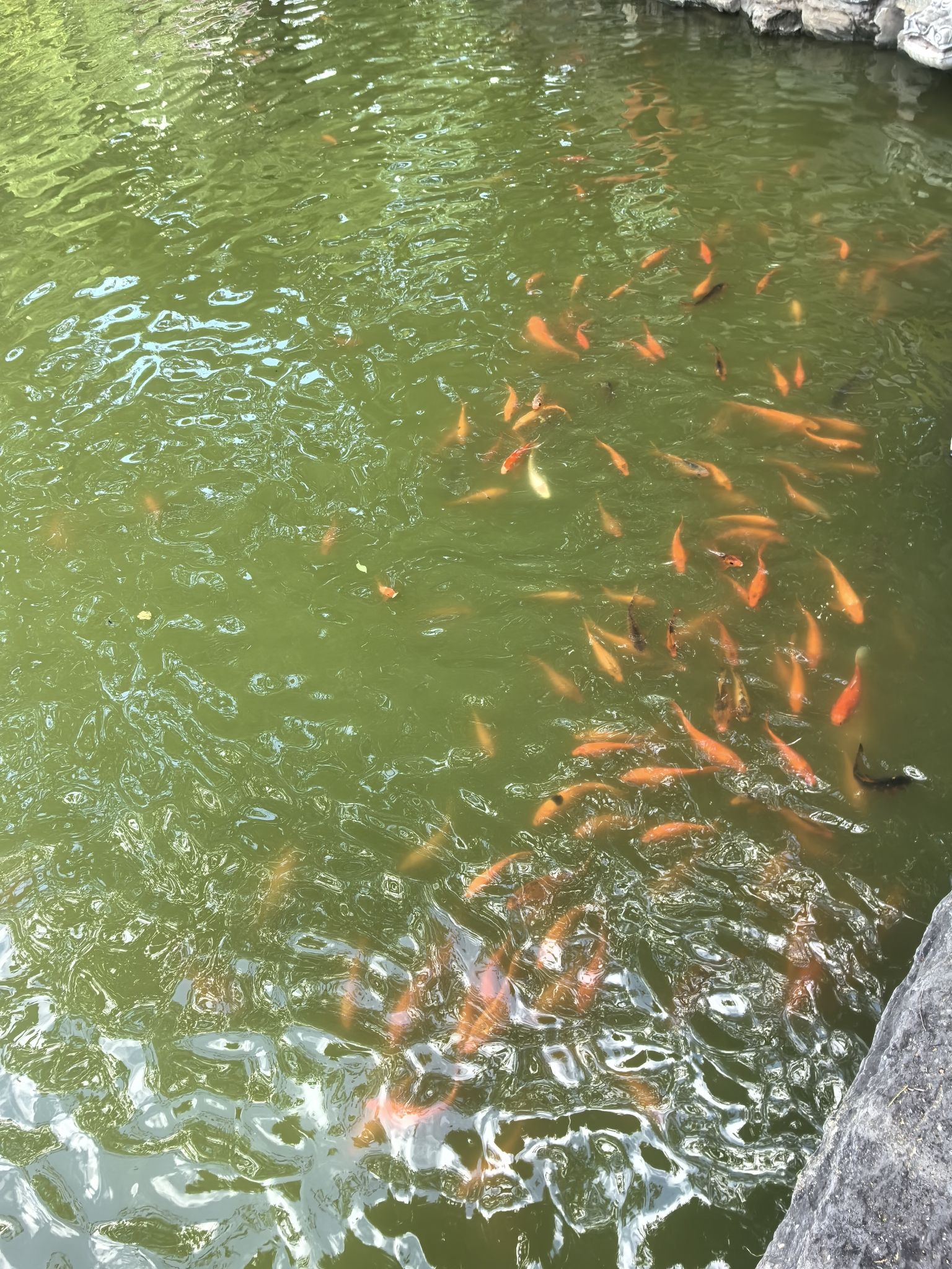 苏仙桥游园旅行图片 2