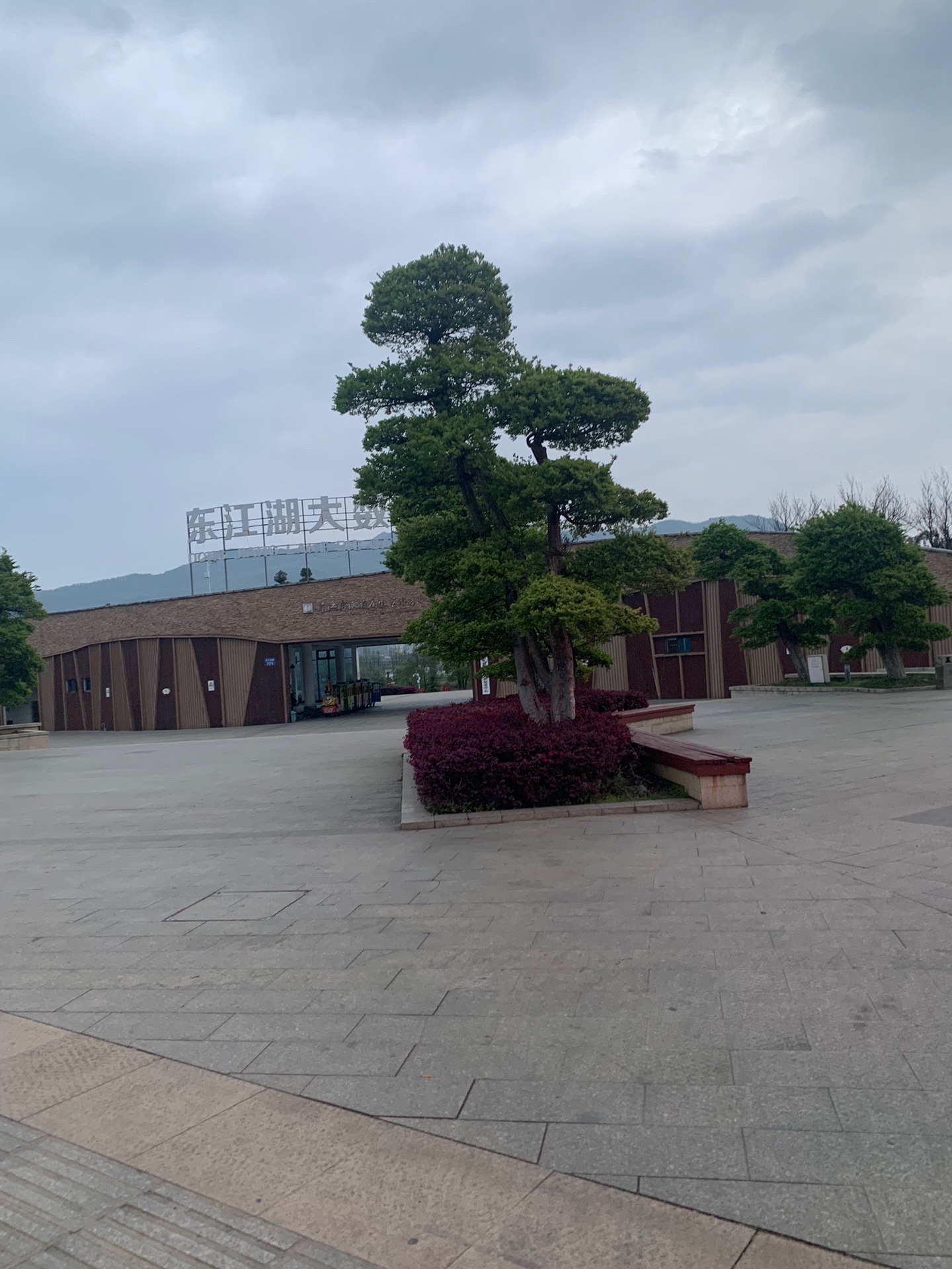 东江文化广场旅行图片 1