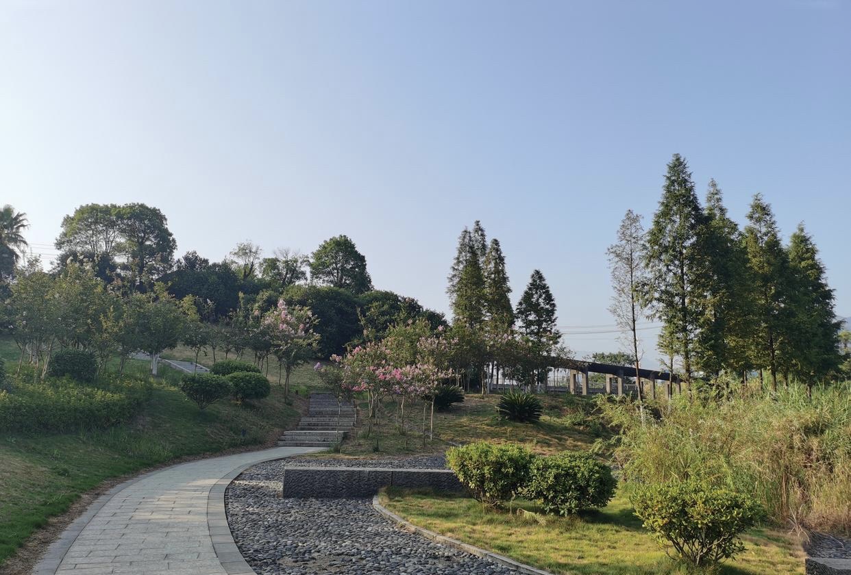 西河沙滩公园旅行图片 3