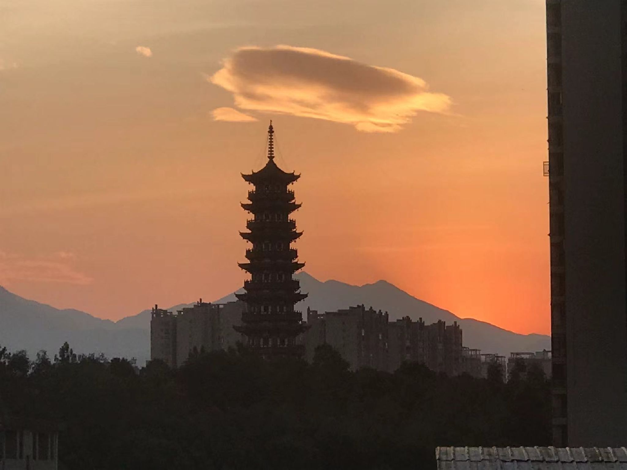 廻峰公园旅行图片 1