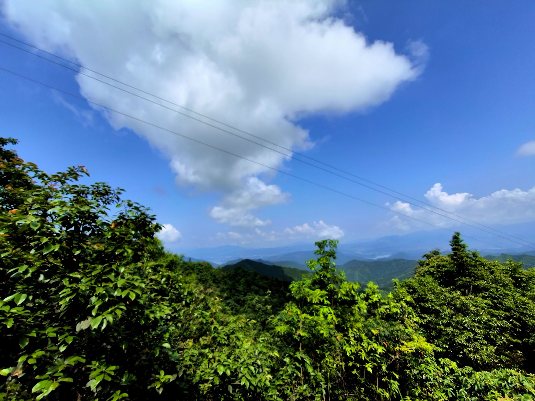 天鹅山国家森林公园旅行图片 1