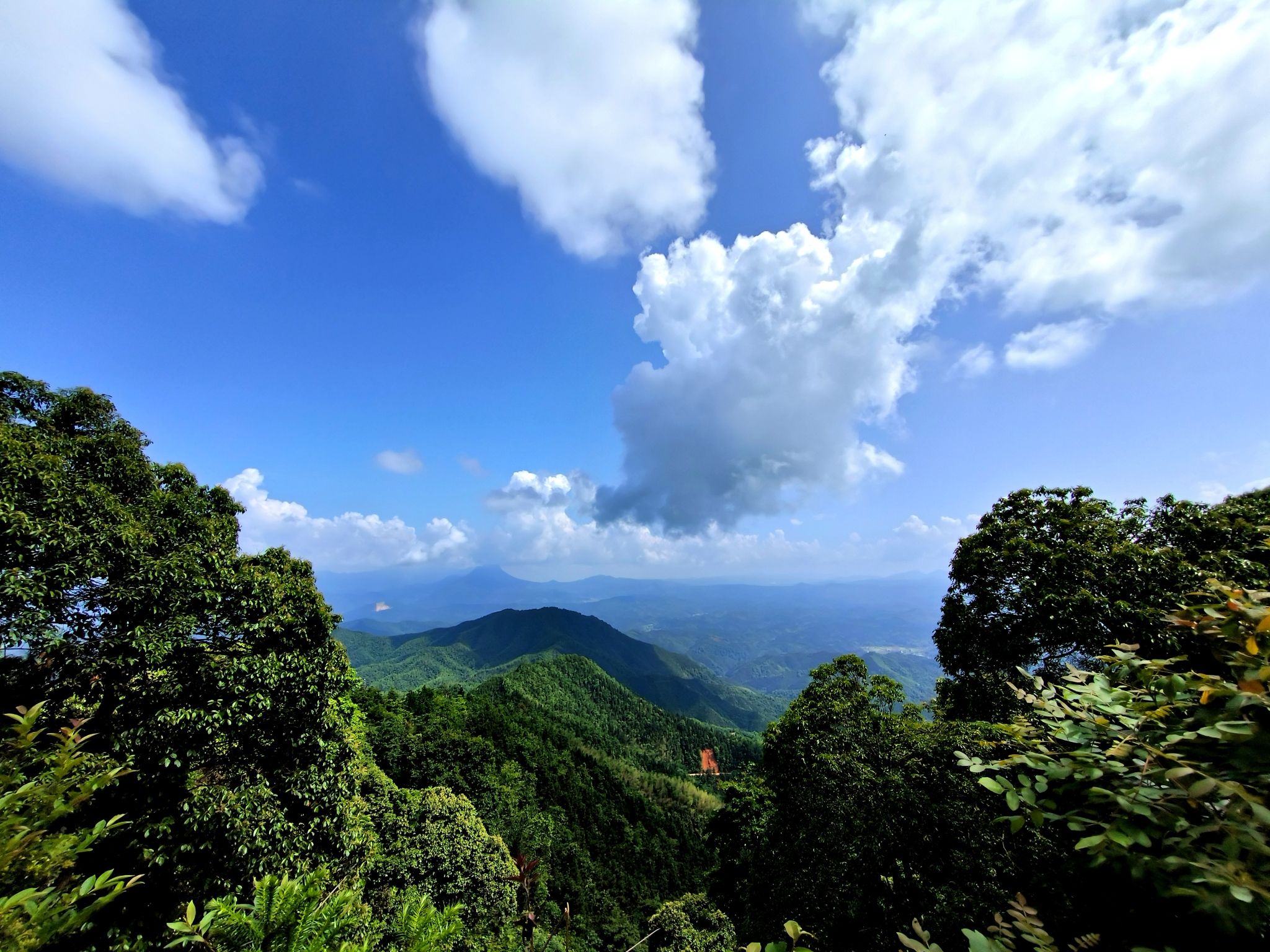 天鹅山国家森林公园旅行图片 2
