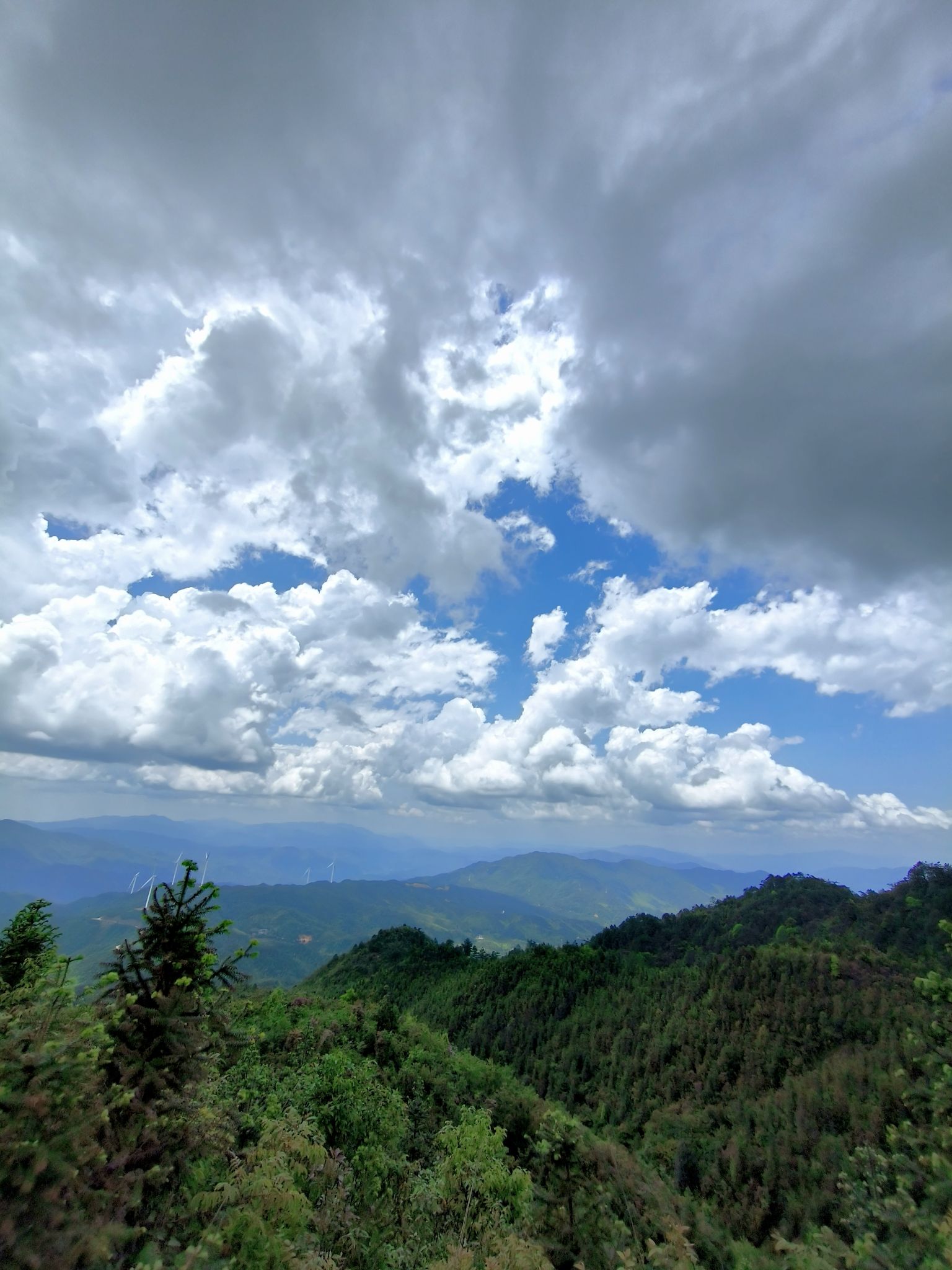 天鹅山国家森林公园旅行图片 3