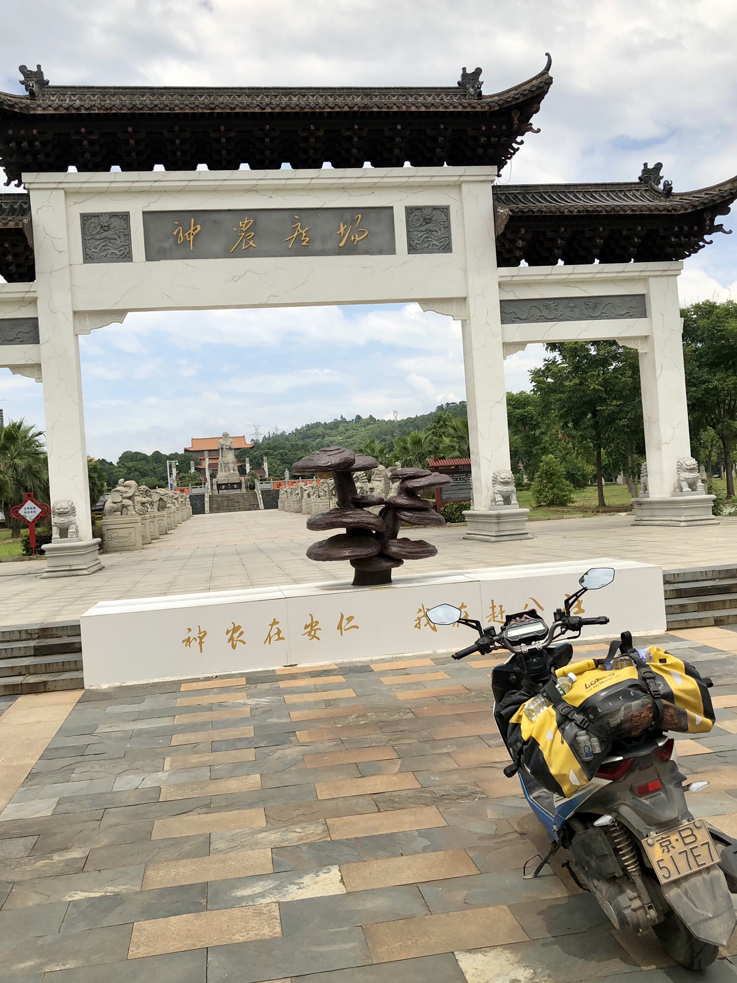 大药王寺旅行图片 1