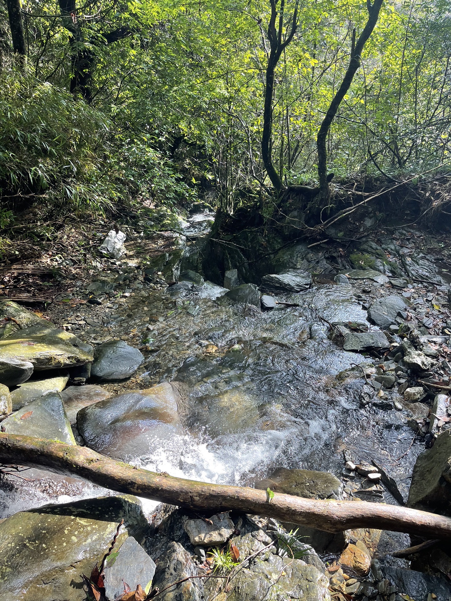 湖南八面山国家级自然保护区(暂停开放)旅行图片 1