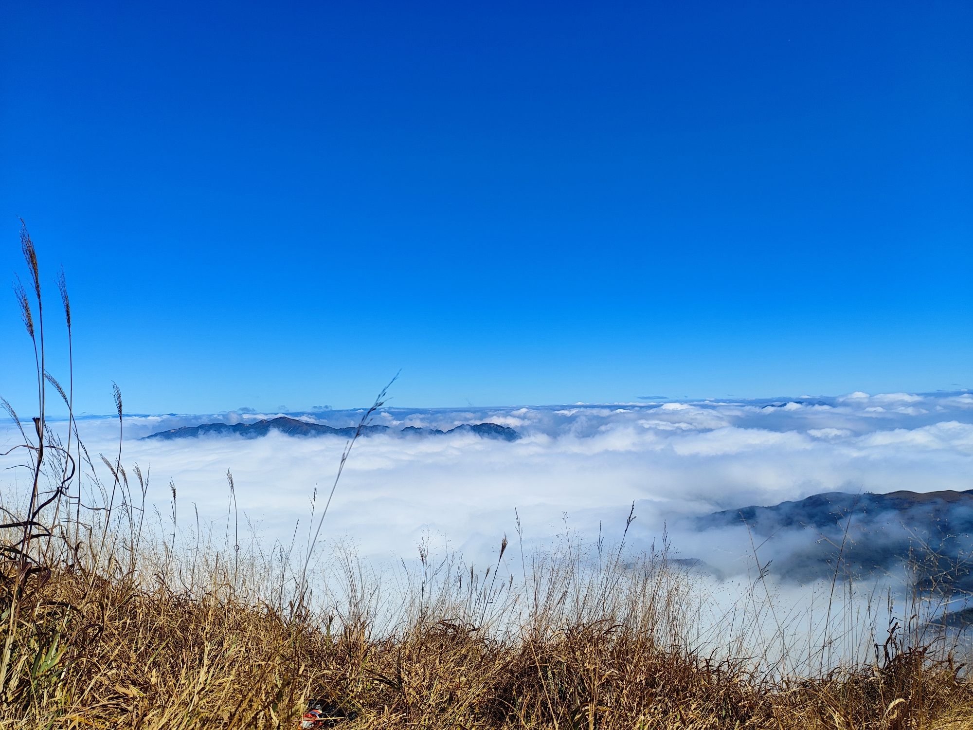 湖南八面山国家级自然保护区(暂停开放)旅行图片 2