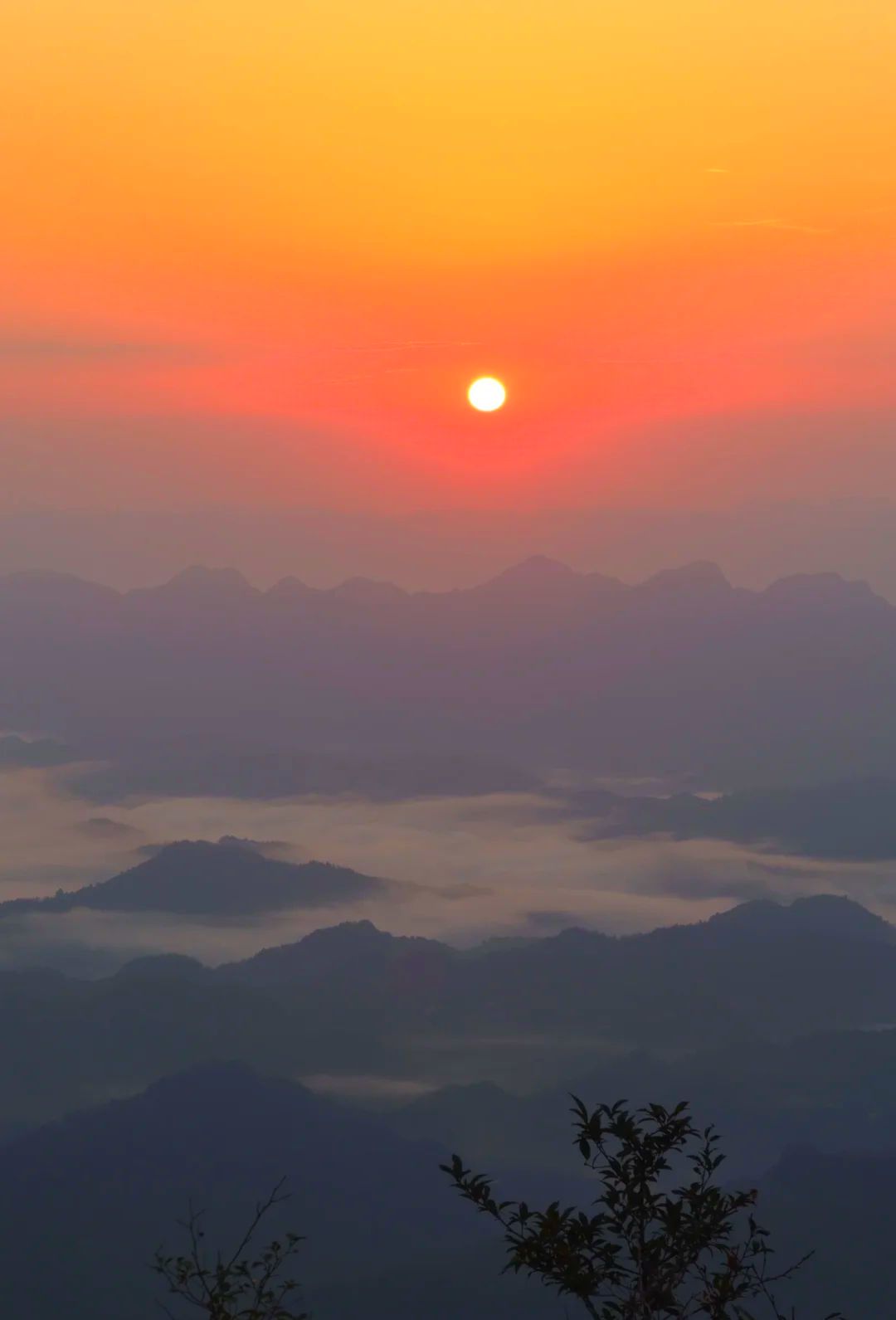 湖南八面山国家级自然保护区(暂停开放)旅行图片 3