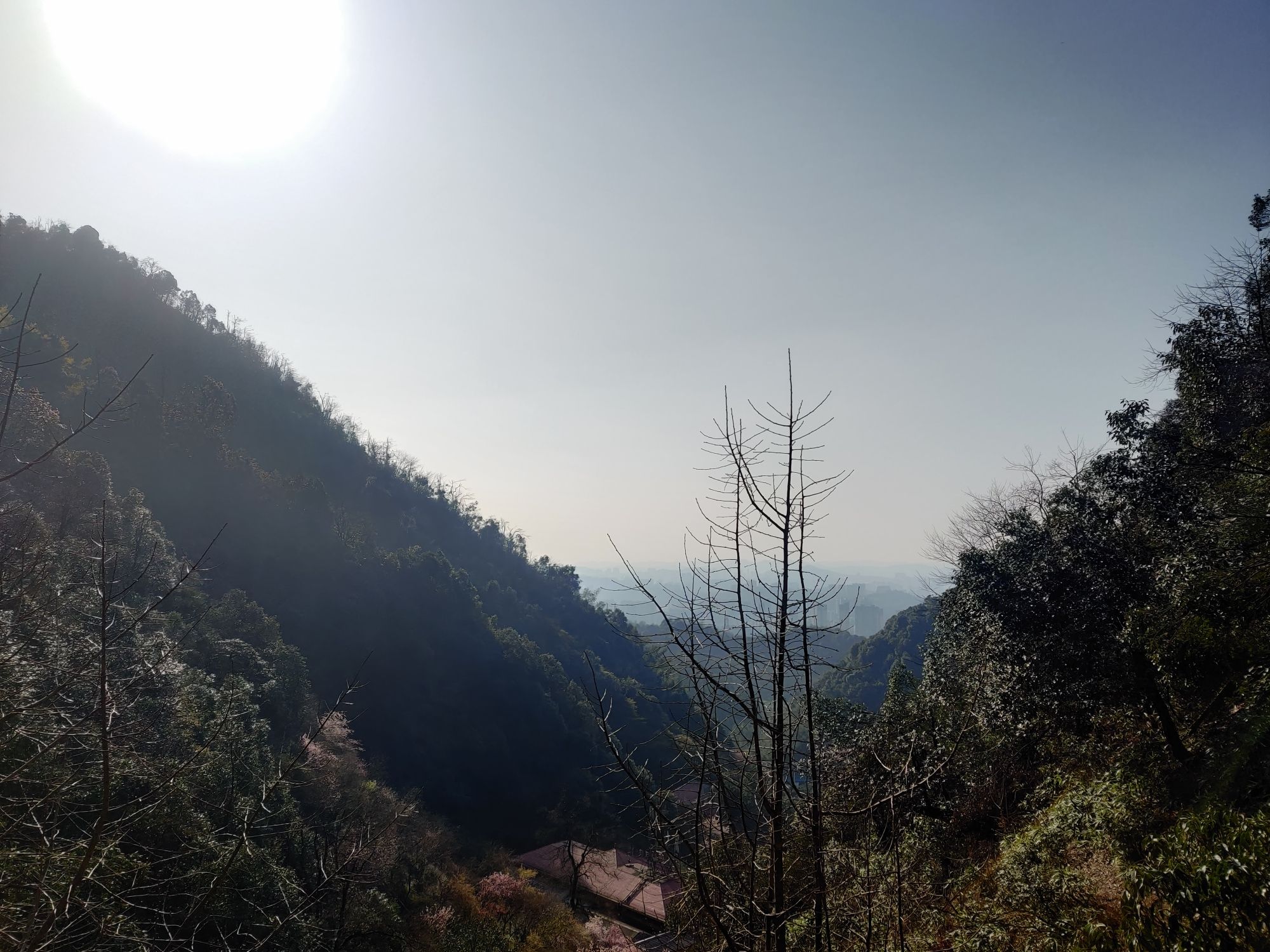 王仙岭旅游度假区旅行图片 2