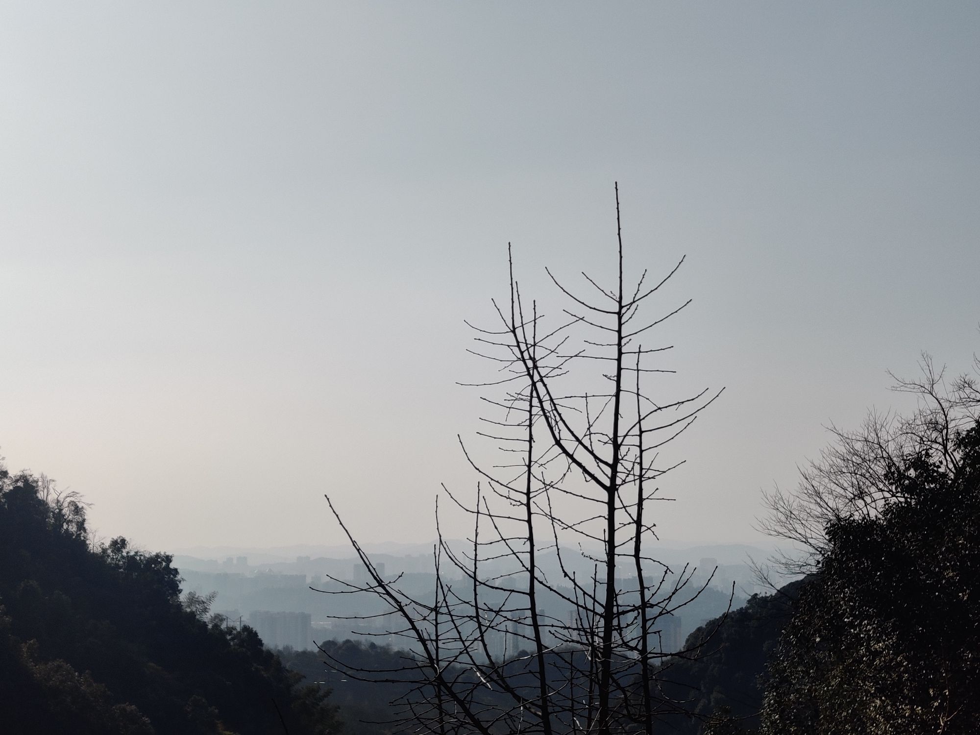 王仙岭旅游度假区旅行图片 1