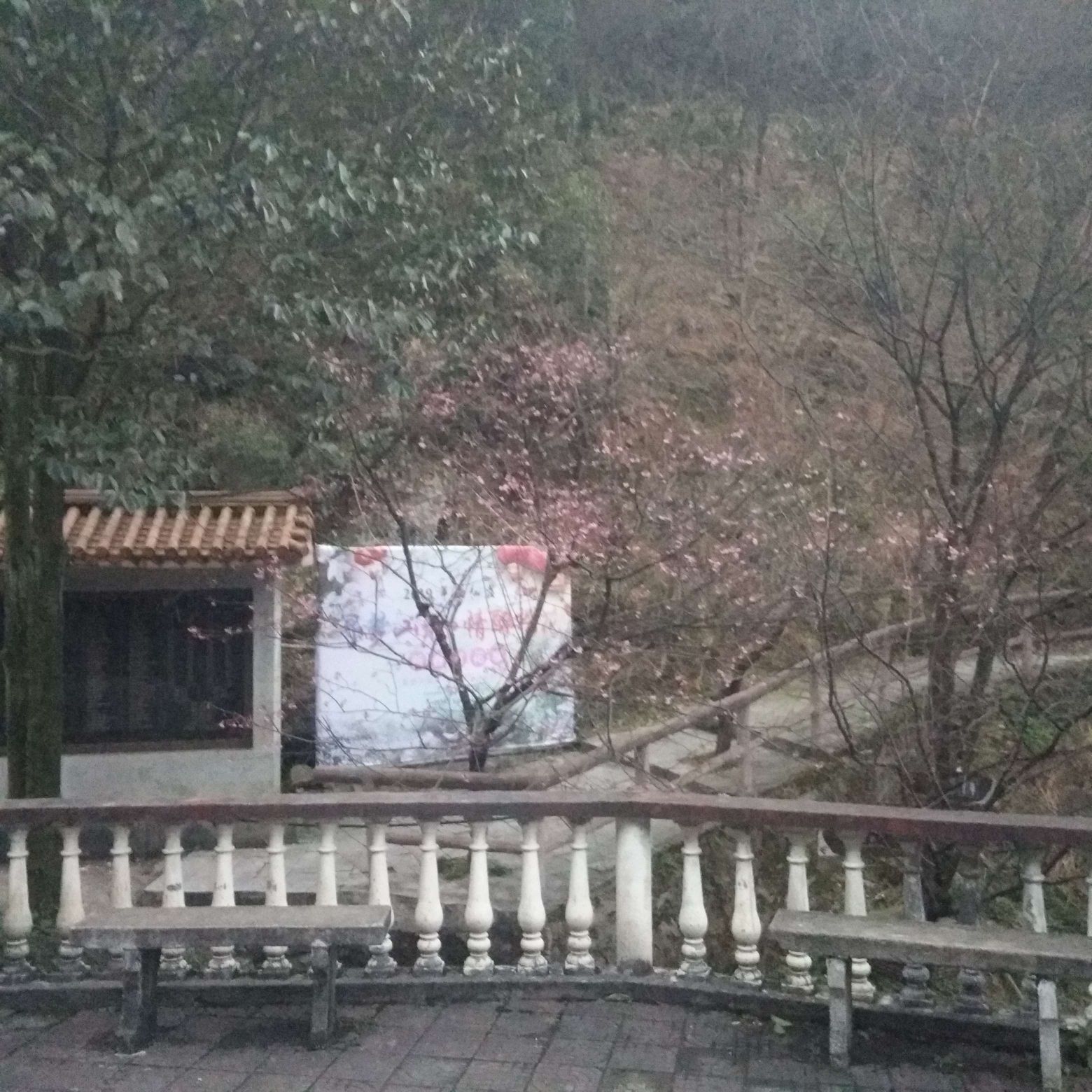 王仙岭旅游度假区旅行图片 1