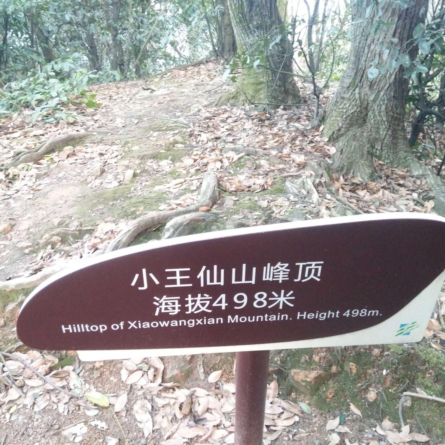 王仙岭旅游度假区旅行图片 2