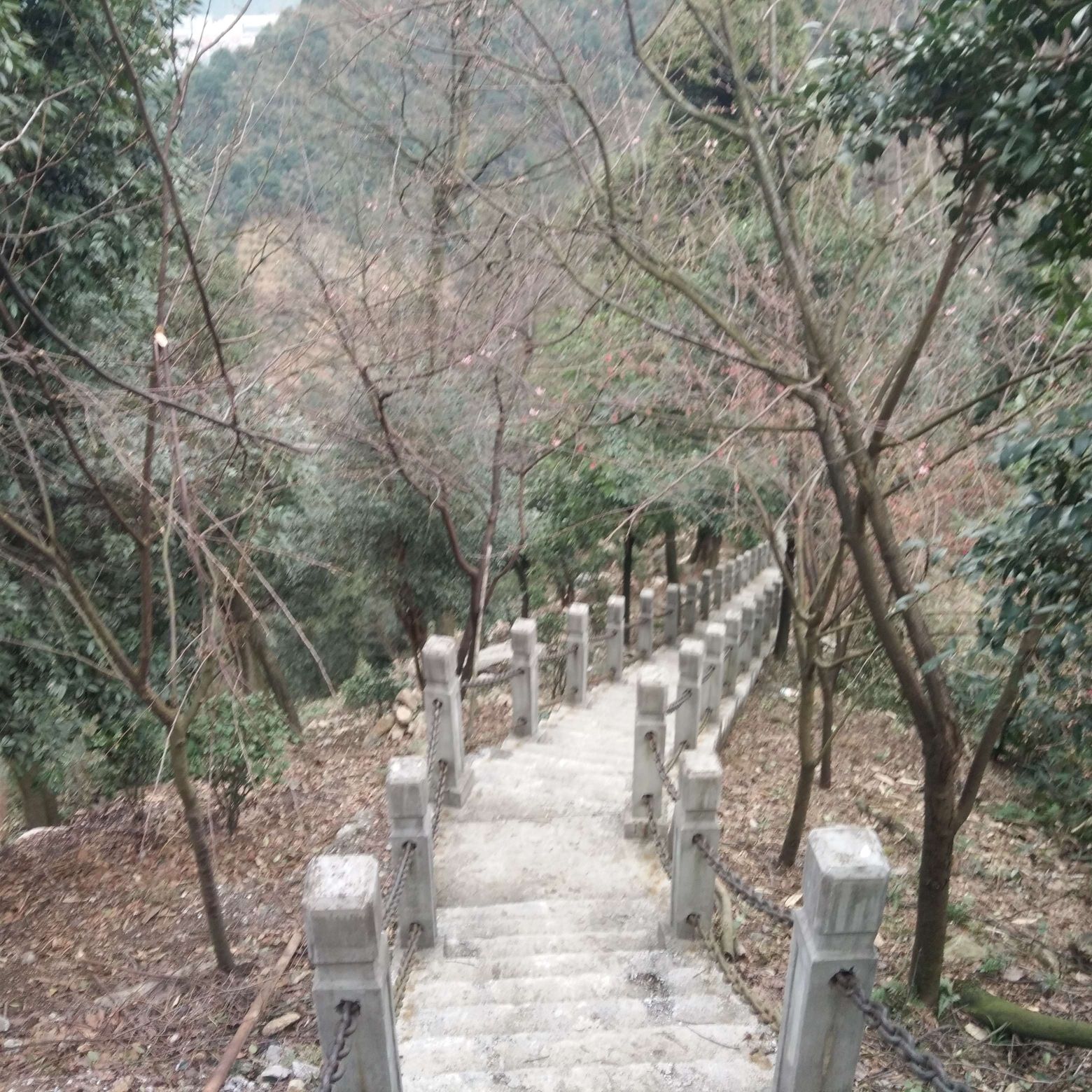 王仙岭旅游度假区旅行图片 3