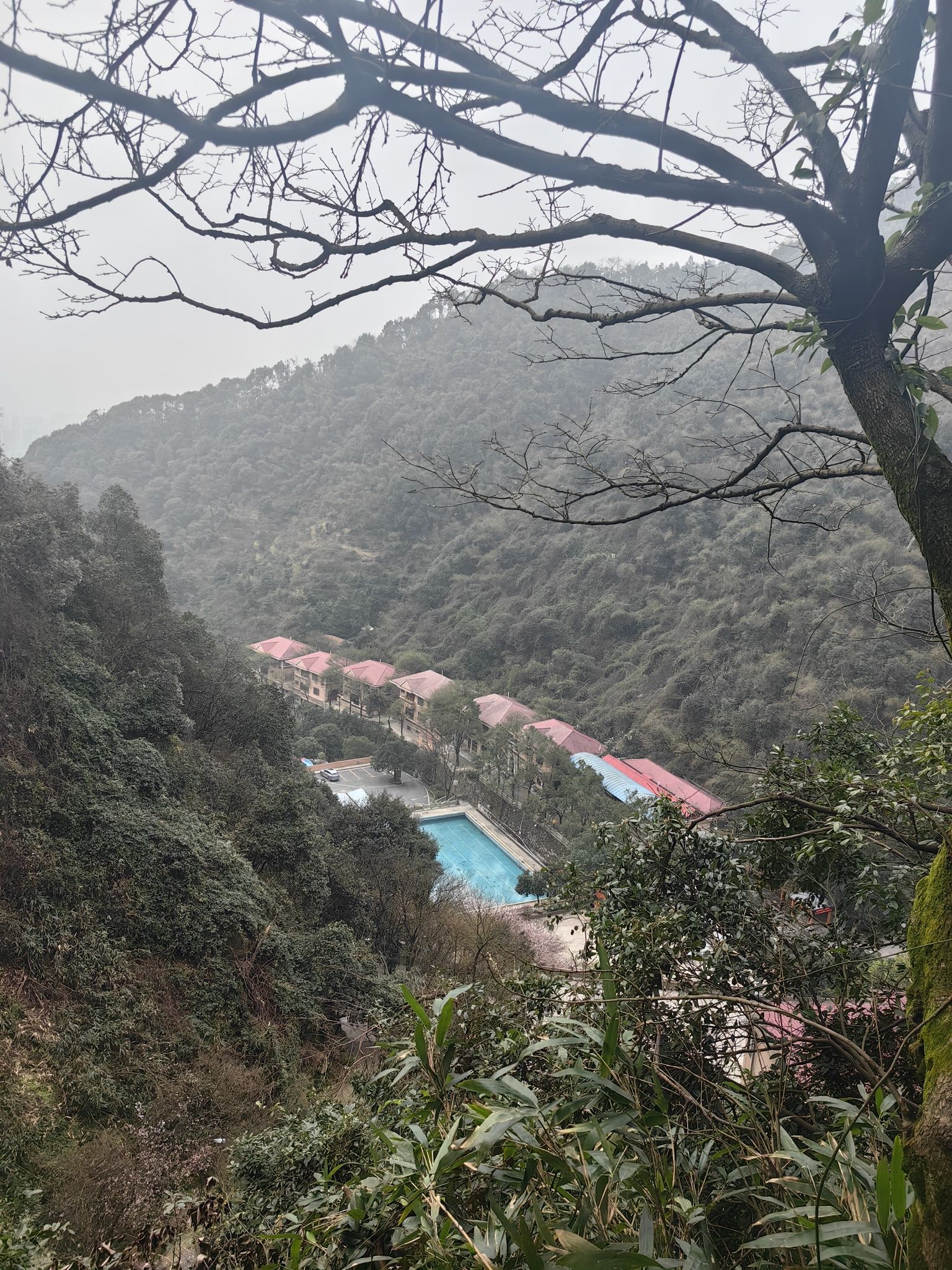王仙岭旅游度假区旅行图片 2