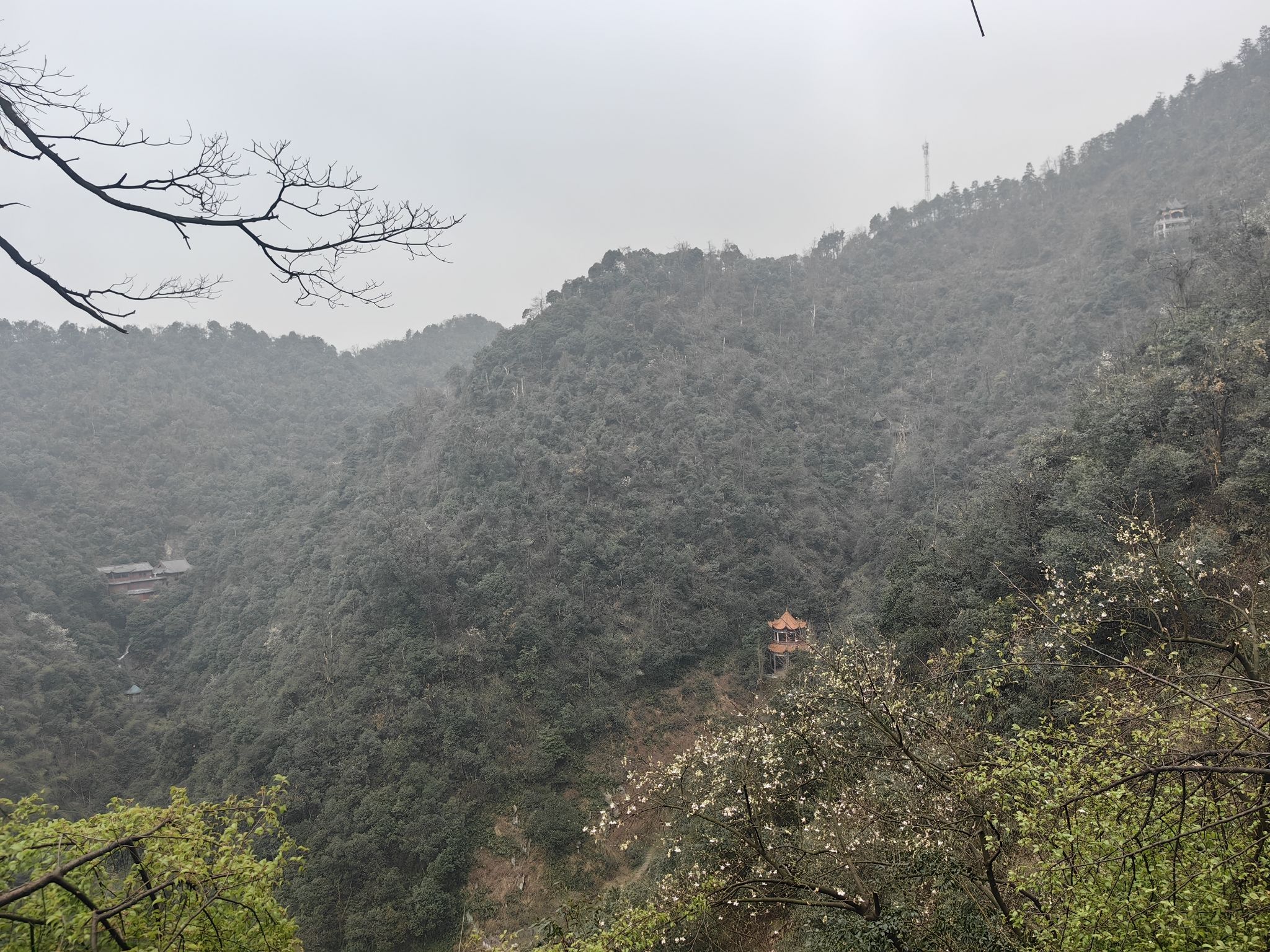 王仙岭旅游度假区旅行图片 3