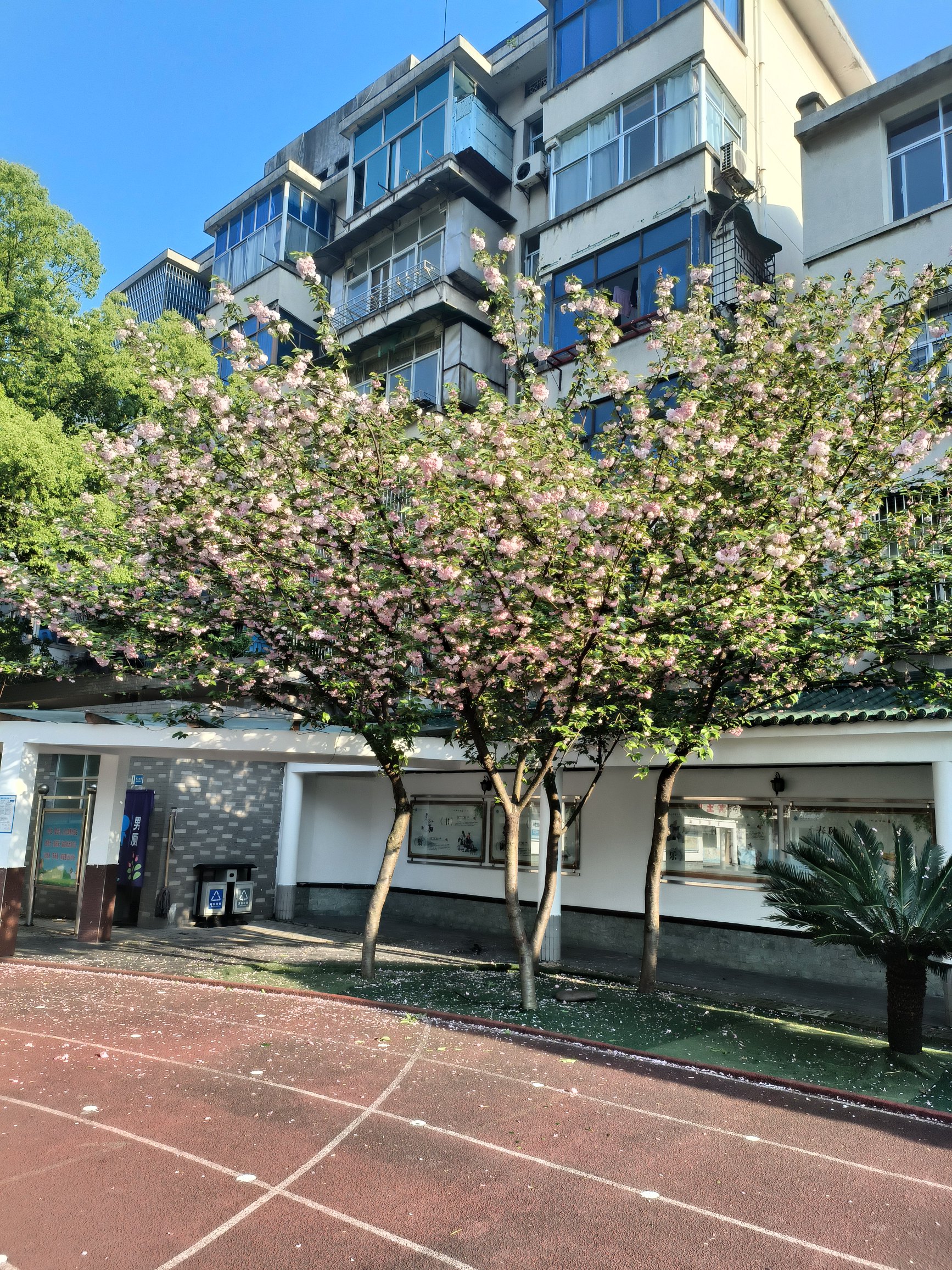 武陵小学
